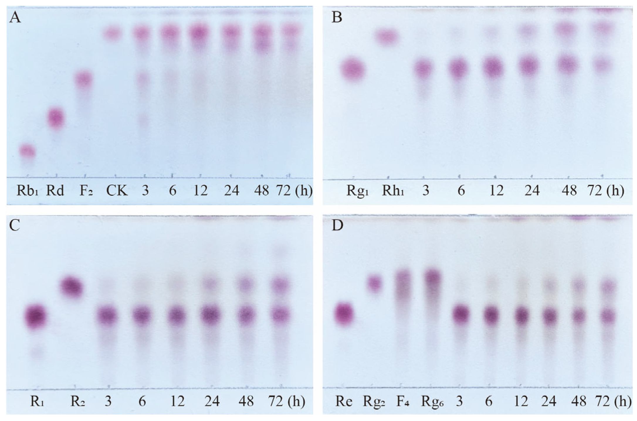 Microorganisms 13 00495 g009 Microorganisms 13 00495 g009