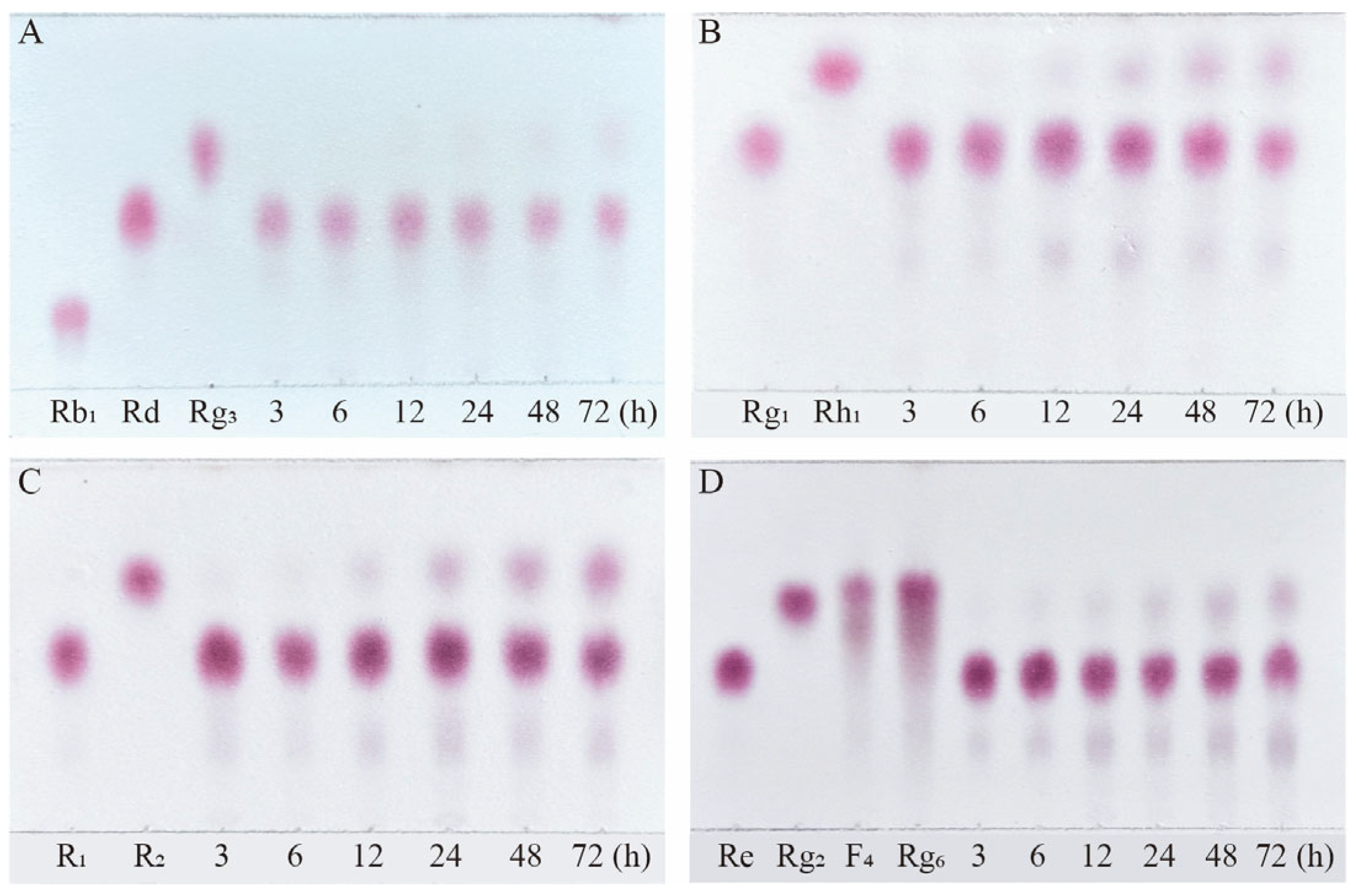 Microorganisms 13 00495 g010 Microorganisms 13 00495 g010