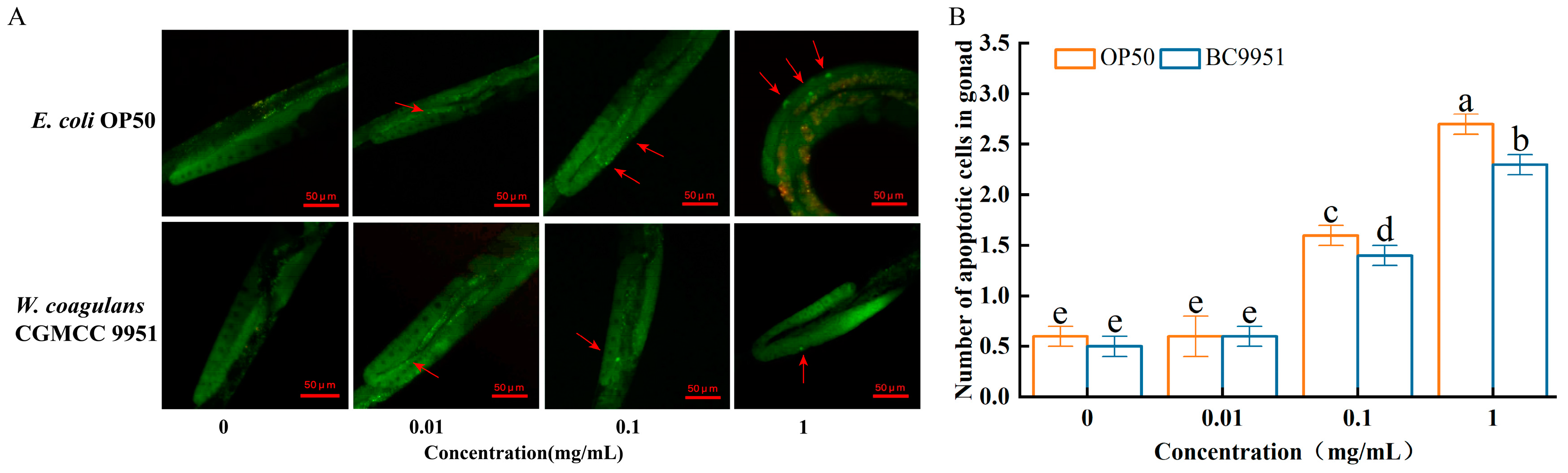 Microorganisms 13 00497 g003
