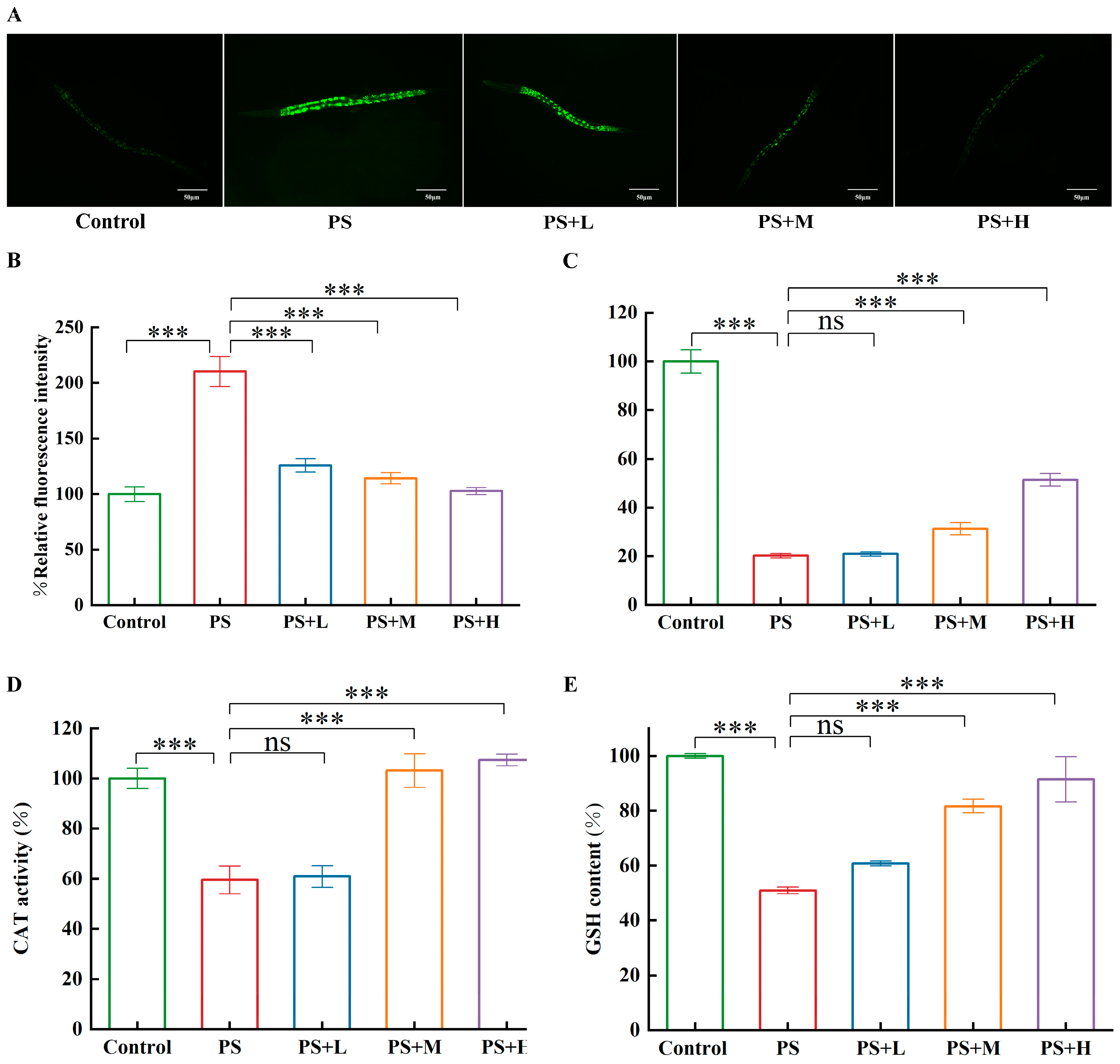 Microorganisms 13 00497 g005