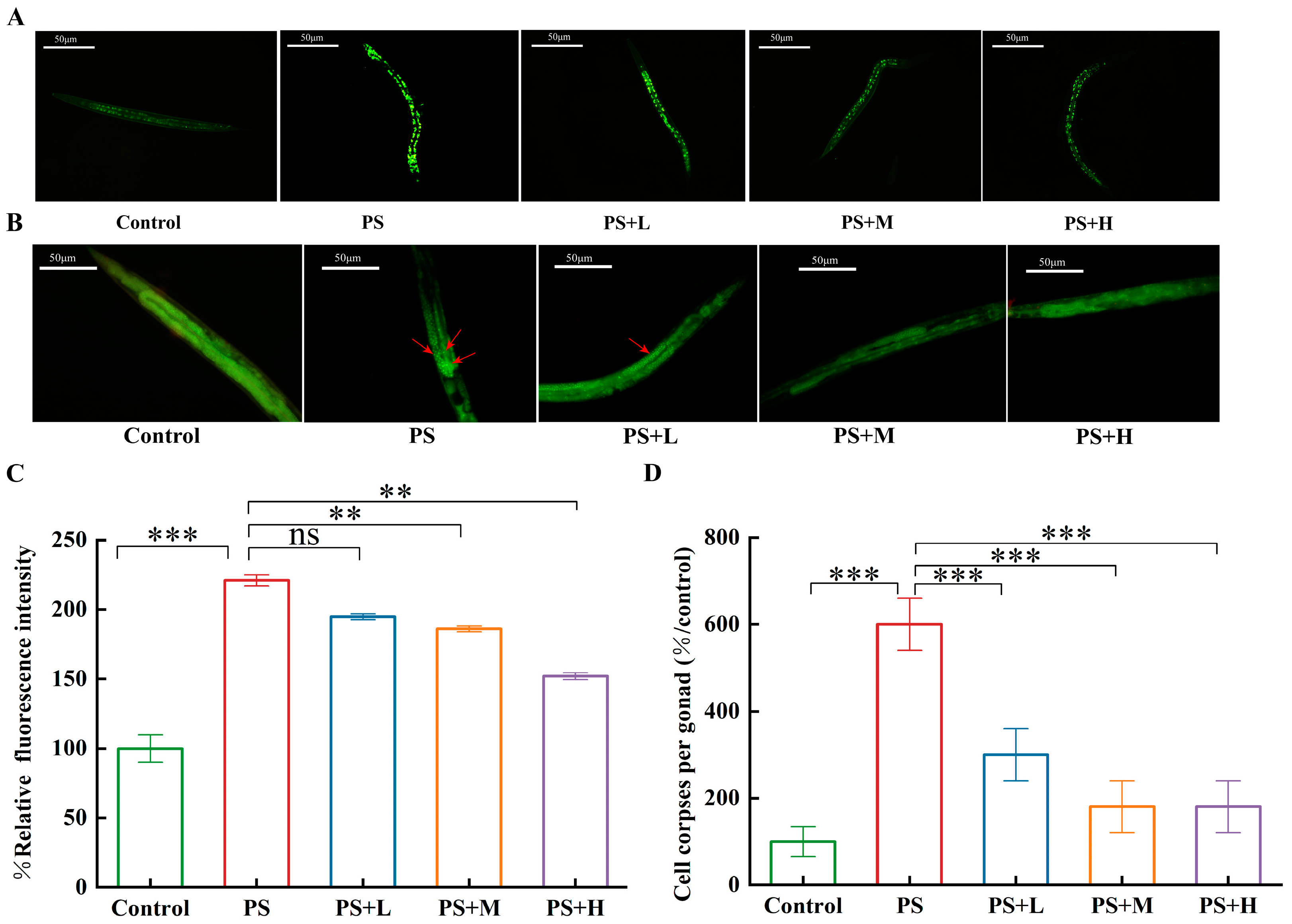 Microorganisms 13 00497 g007