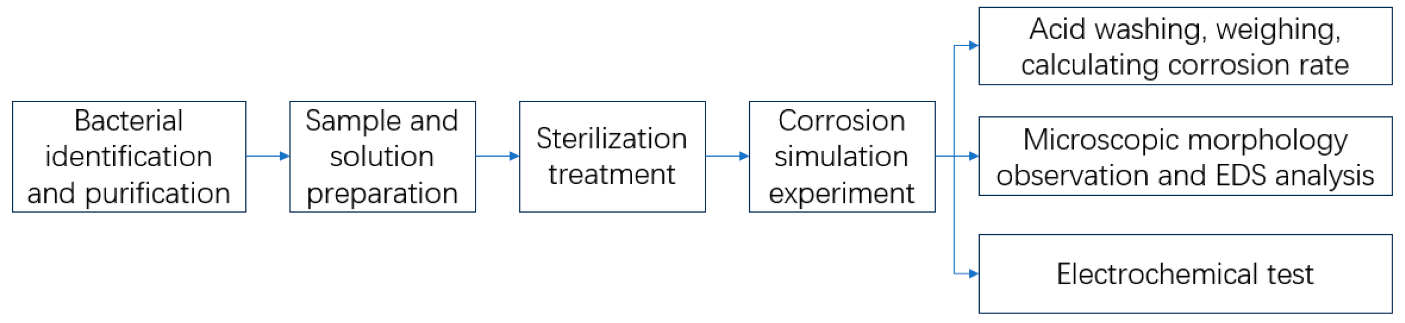Microorganisms 13 00500 g001