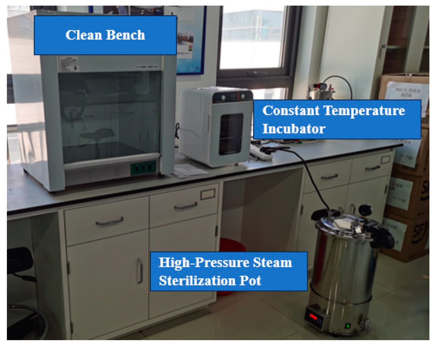 Microorganisms 13 00500 g003