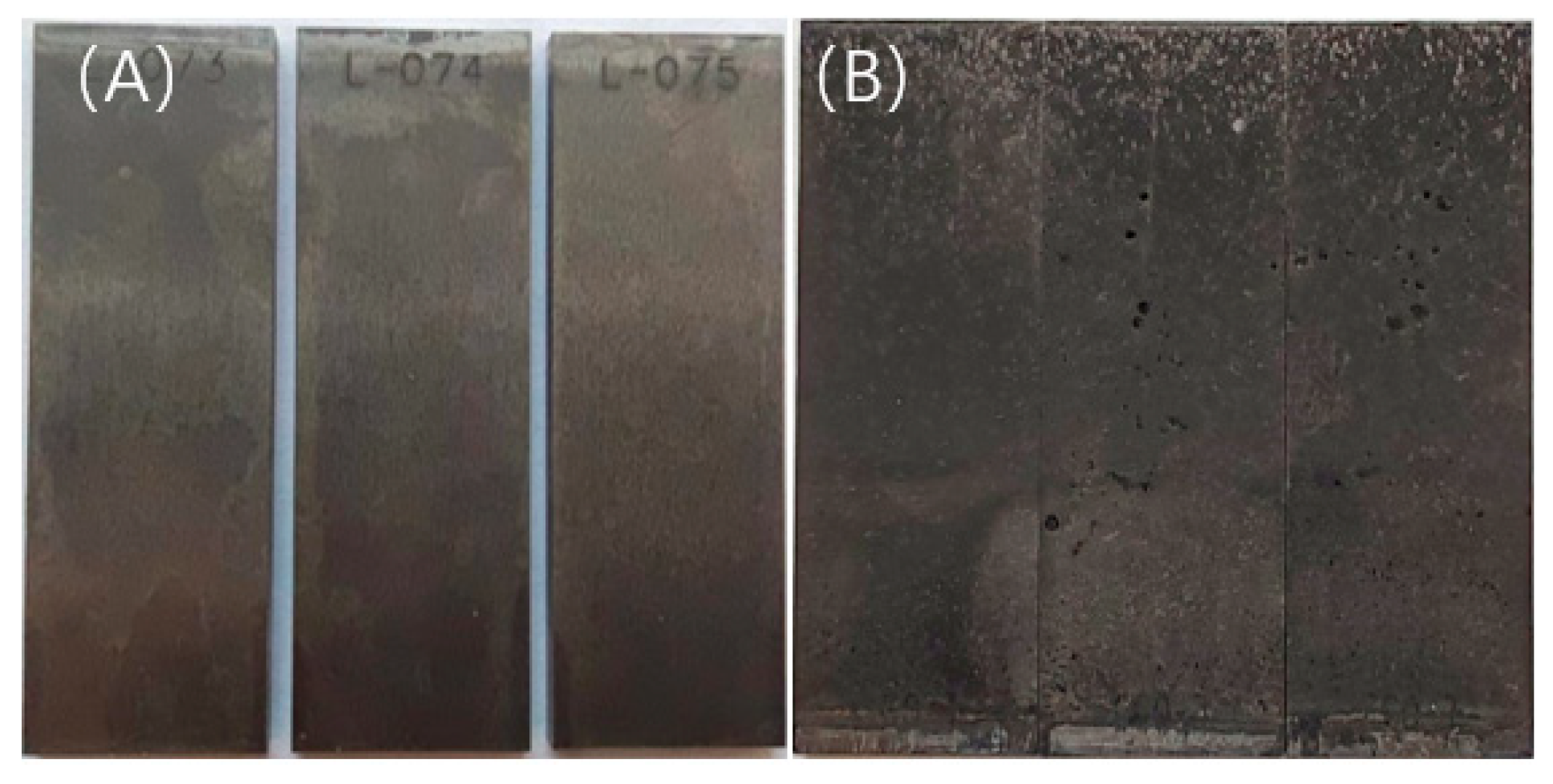 Microorganisms 13 00500 g004