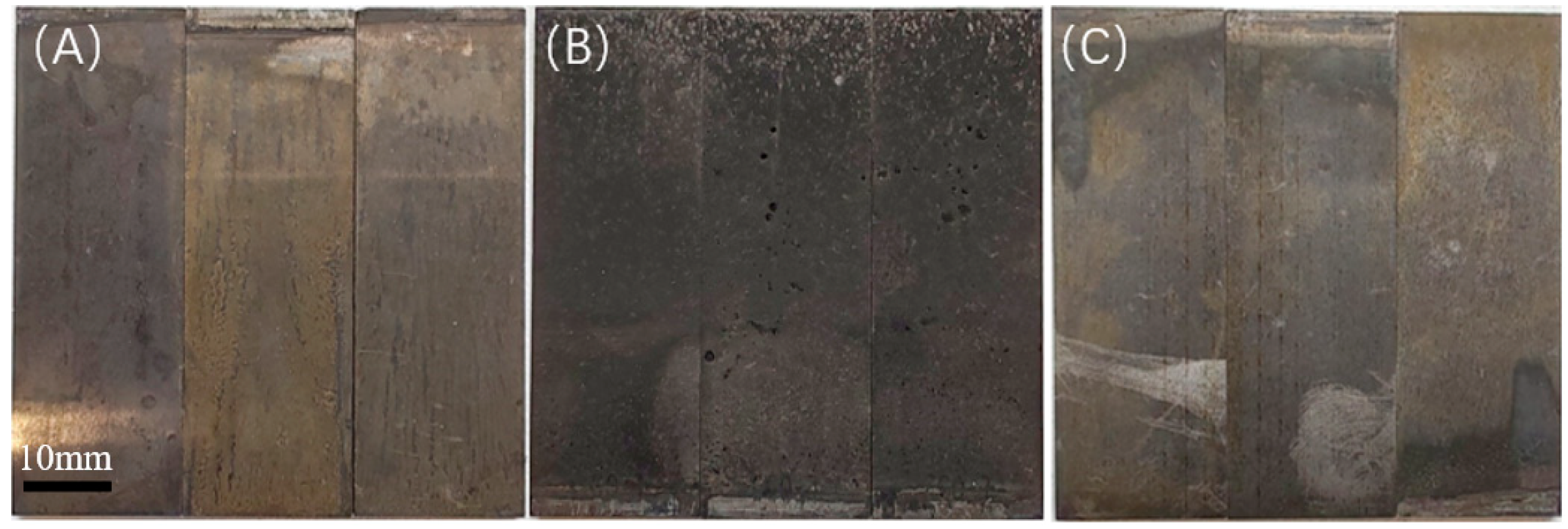 Microorganisms 13 00500 g007