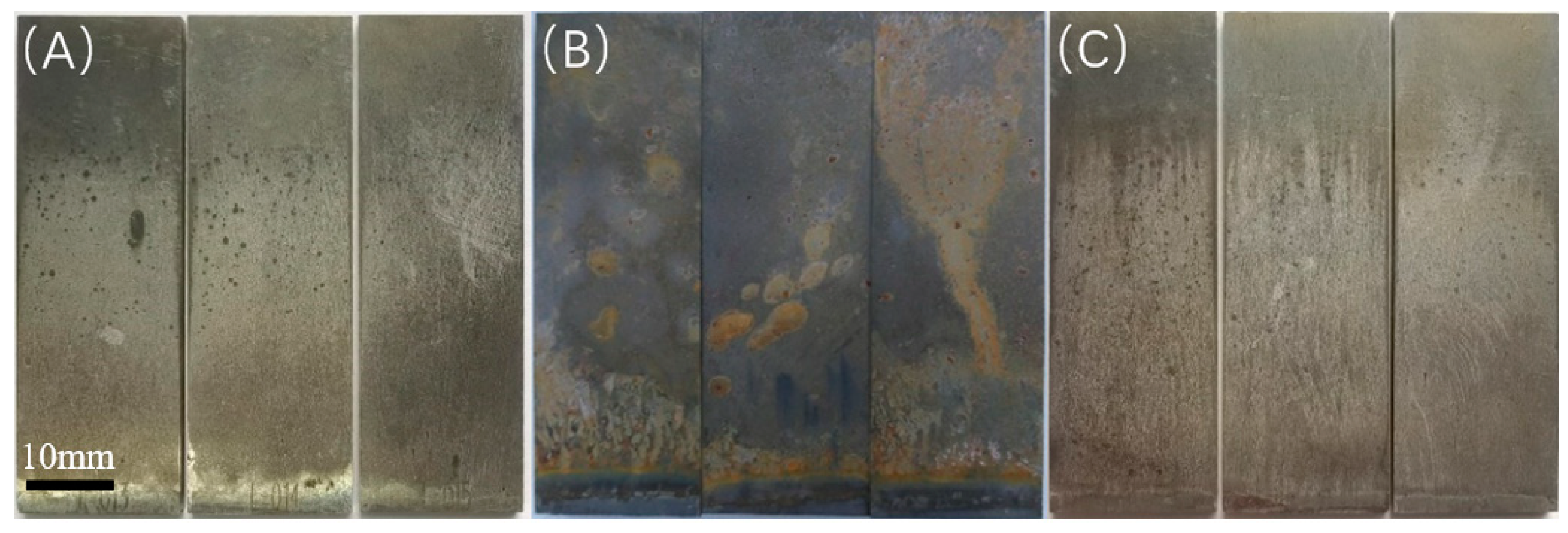 Microorganisms 13 00500 g008
