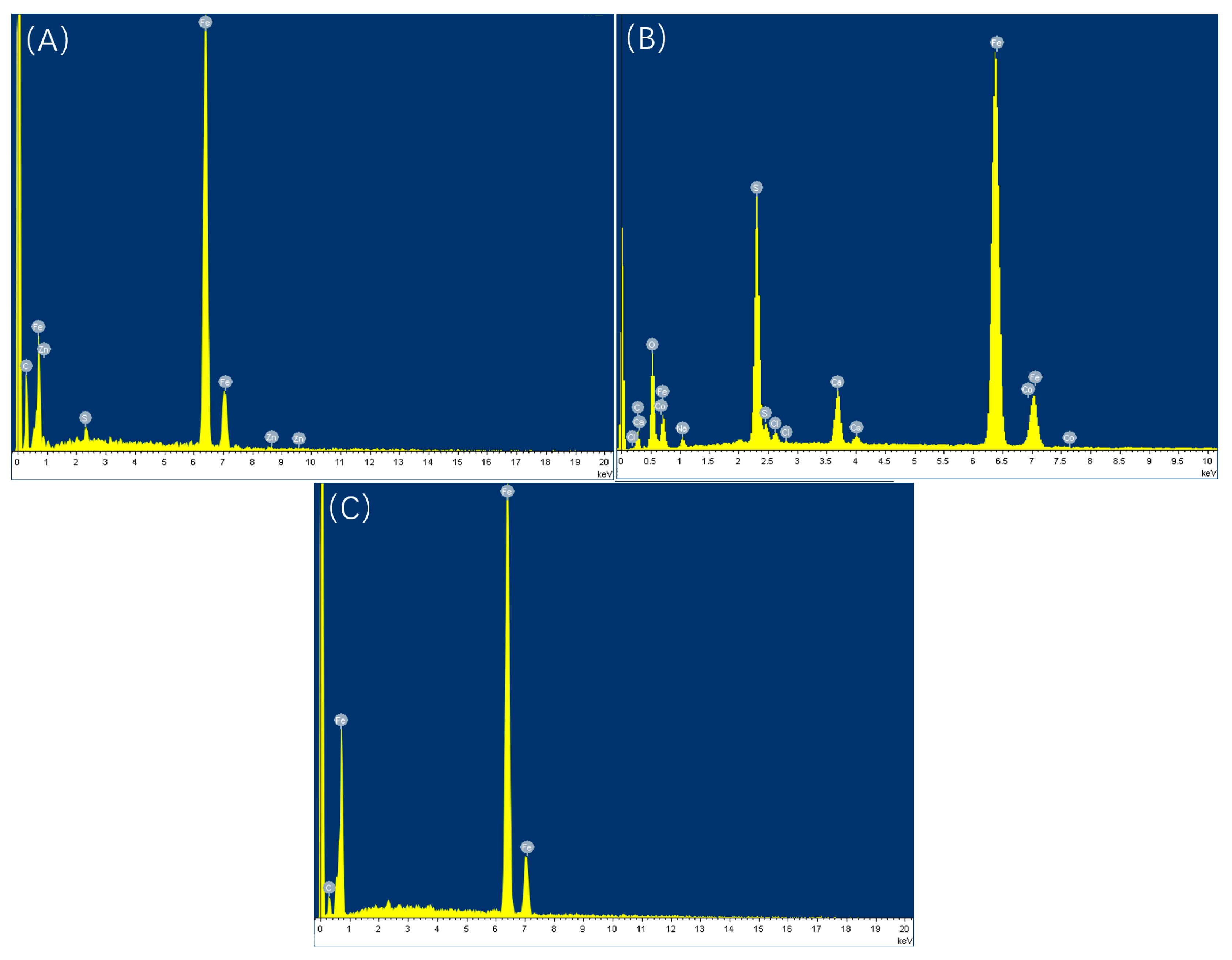 Microorganisms 13 00500 g014