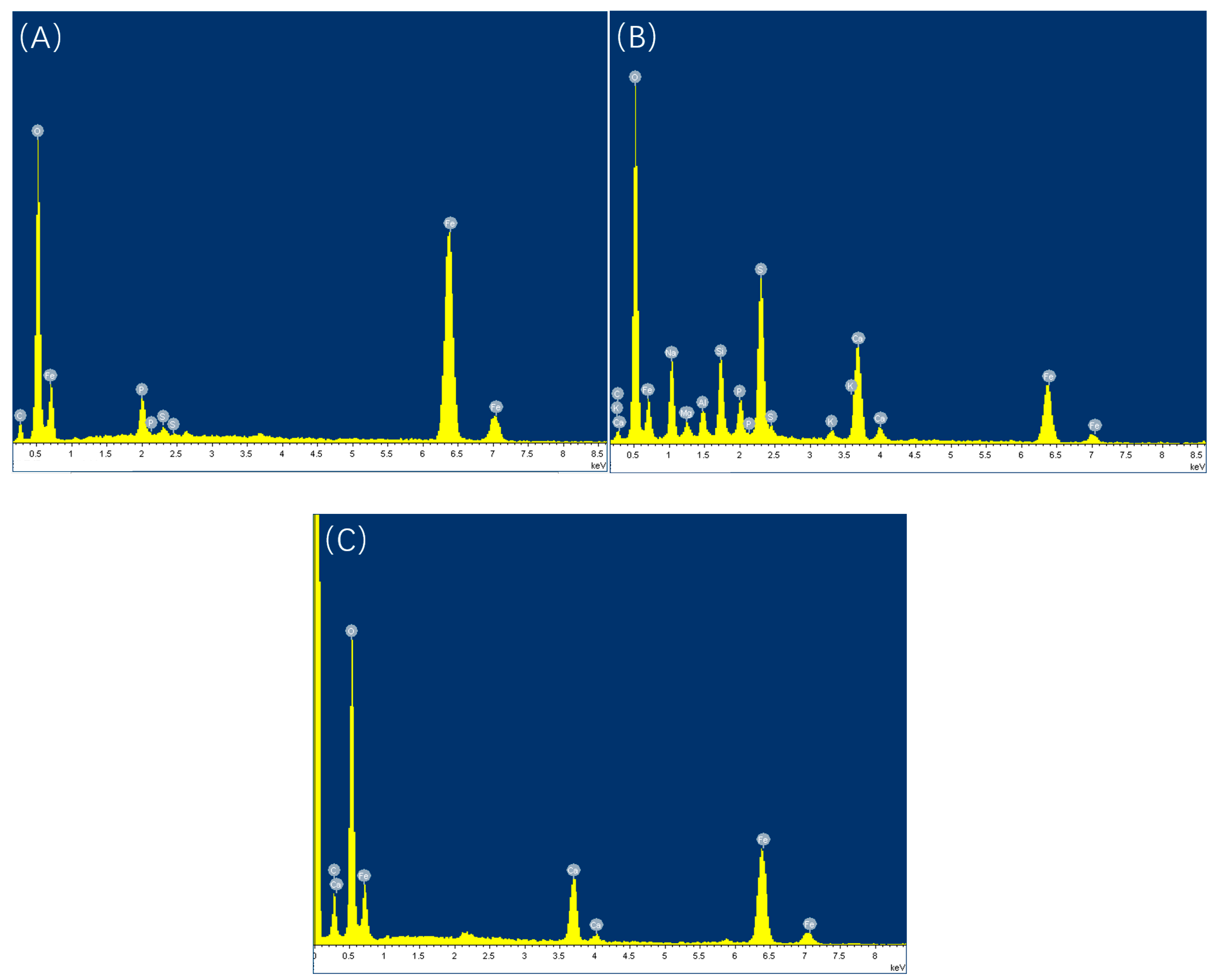 Microorganisms 13 00500 g015