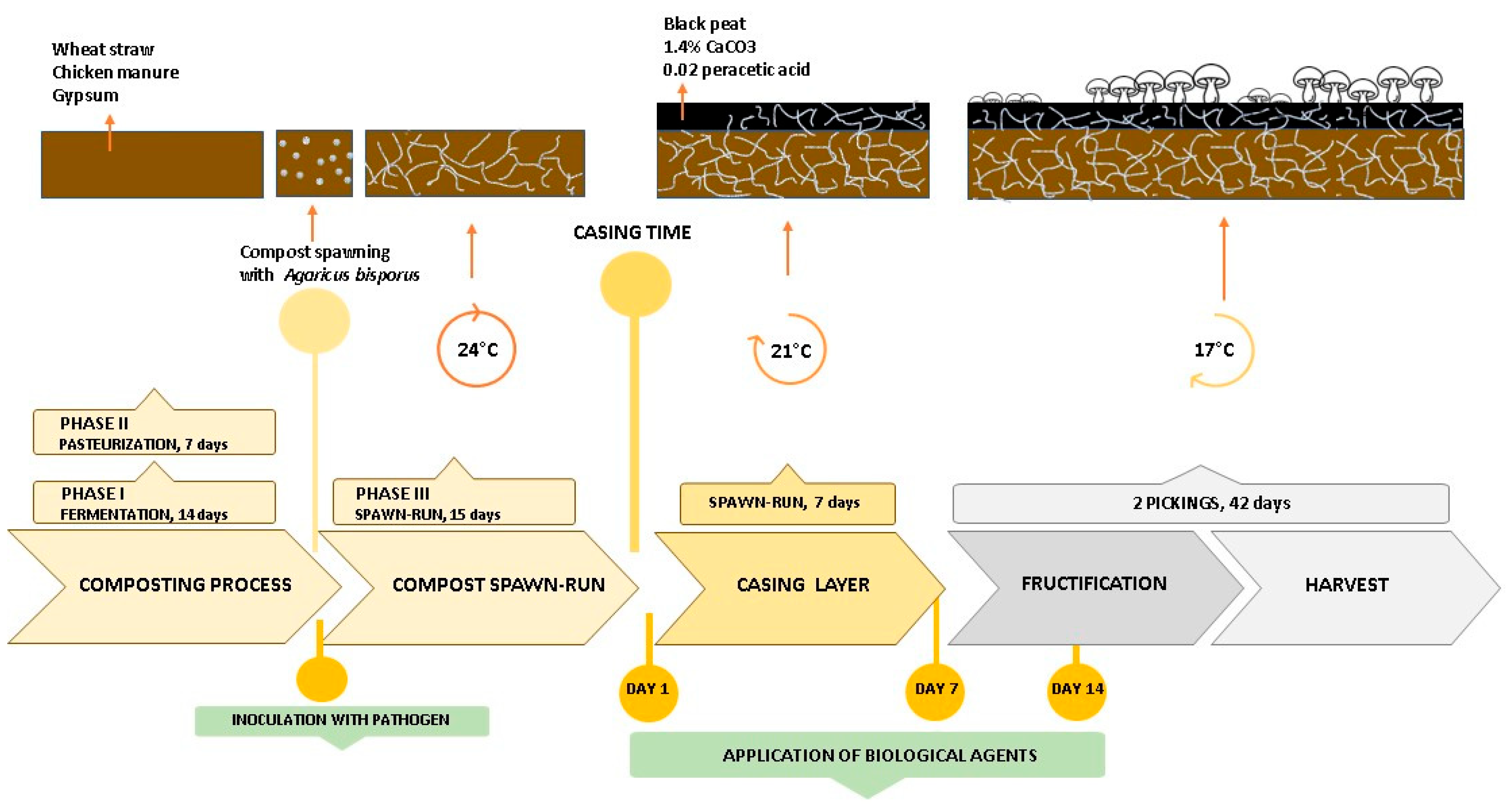 Microorganisms 13 00505 g001