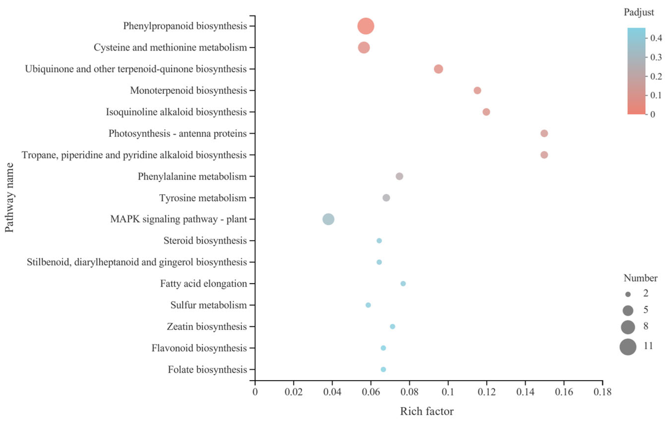 Microorganisms 13 00506 g005