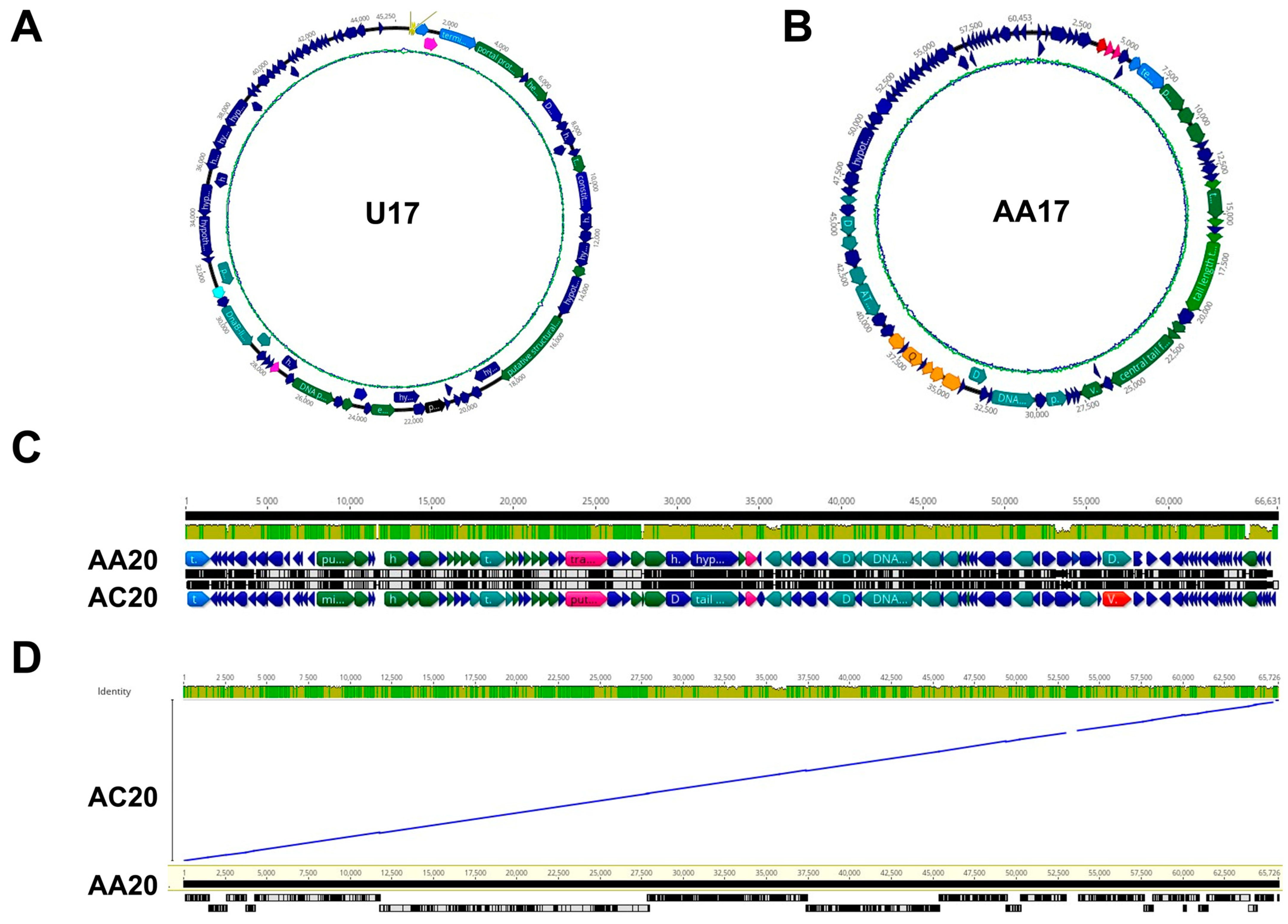 Microorganisms 13 00511 g006