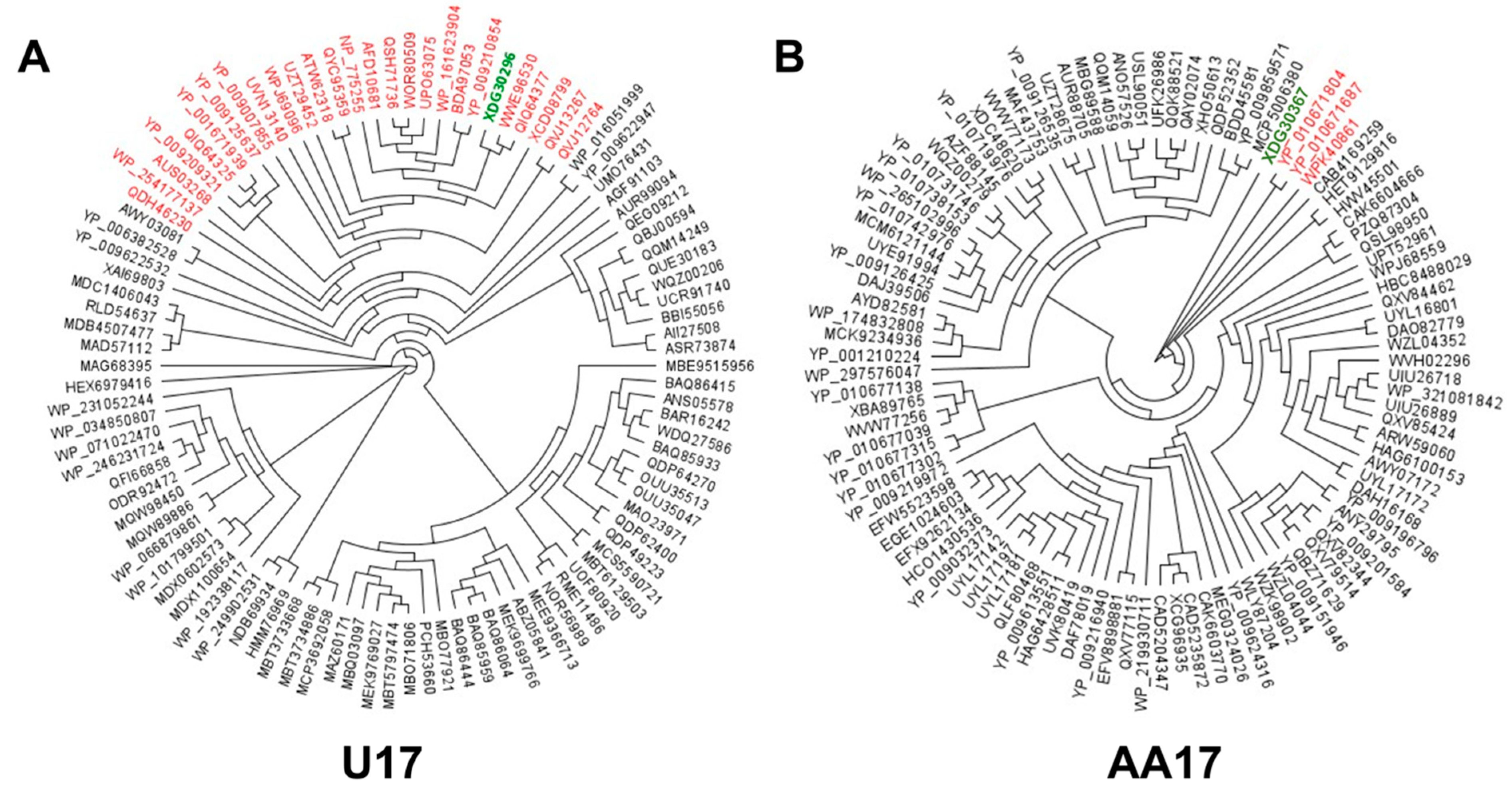 Microorganisms 13 00511 g007