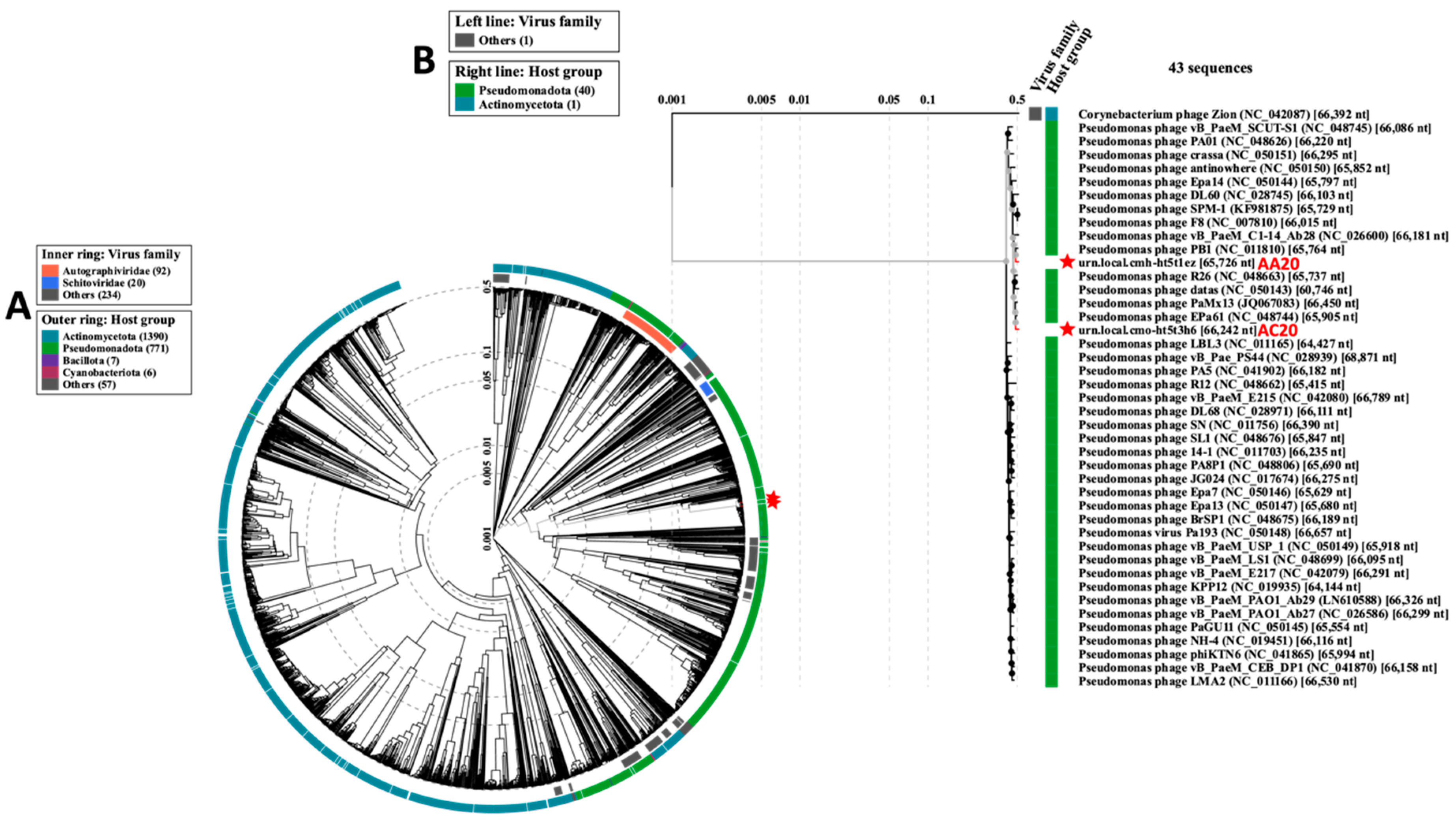 Microorganisms 13 00511 g008
