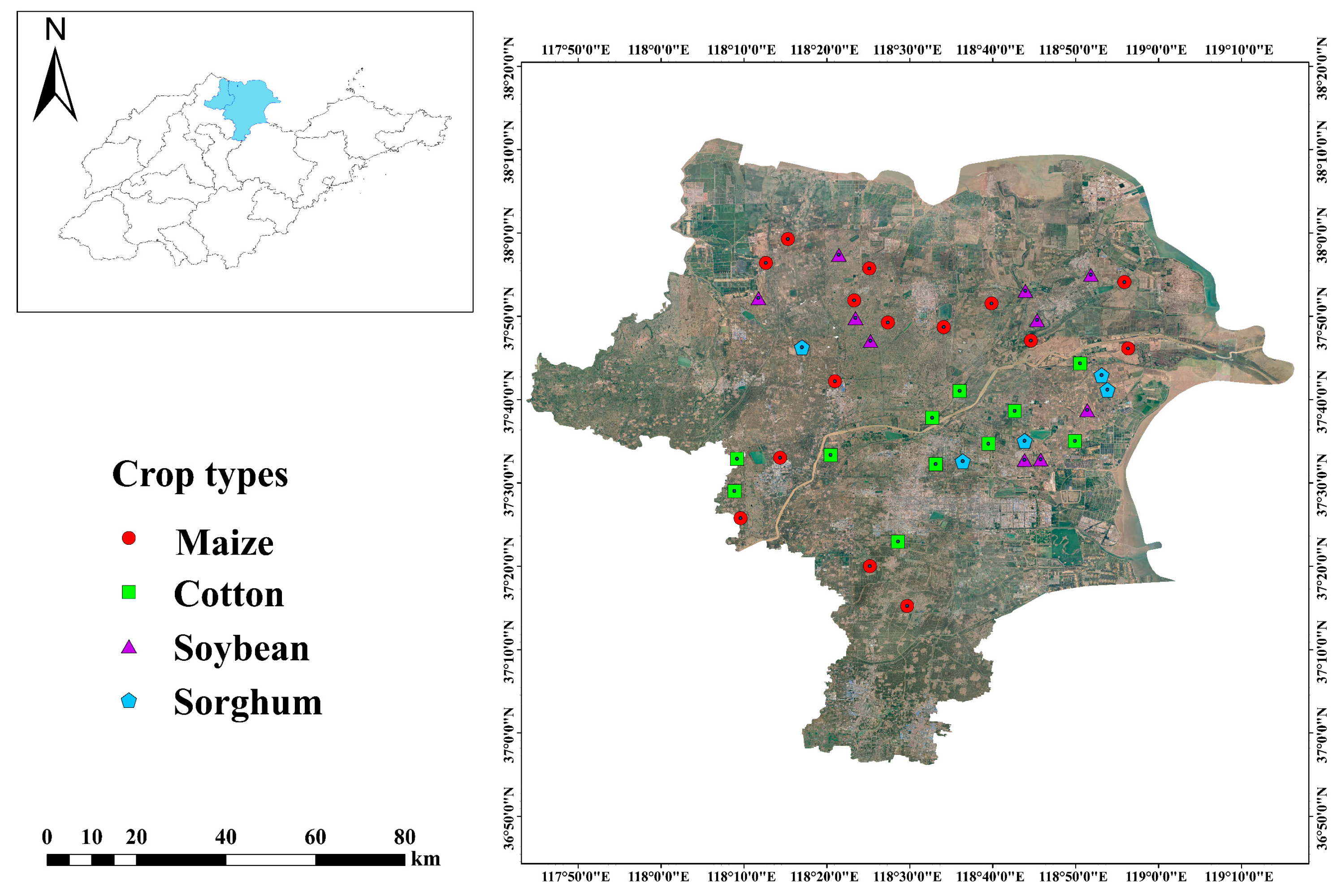 Response of Leaf Functional Traits and Rhizosphere Microbial