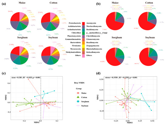36ナチュラル 斜めプラシート連結メッキ釘の製品詳細ページ | 釘 | マックス