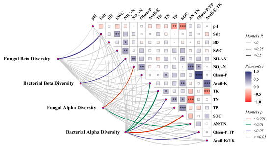 Rare Taxa as Key Drivers of Soil Multi-Nutrient Cycling Under