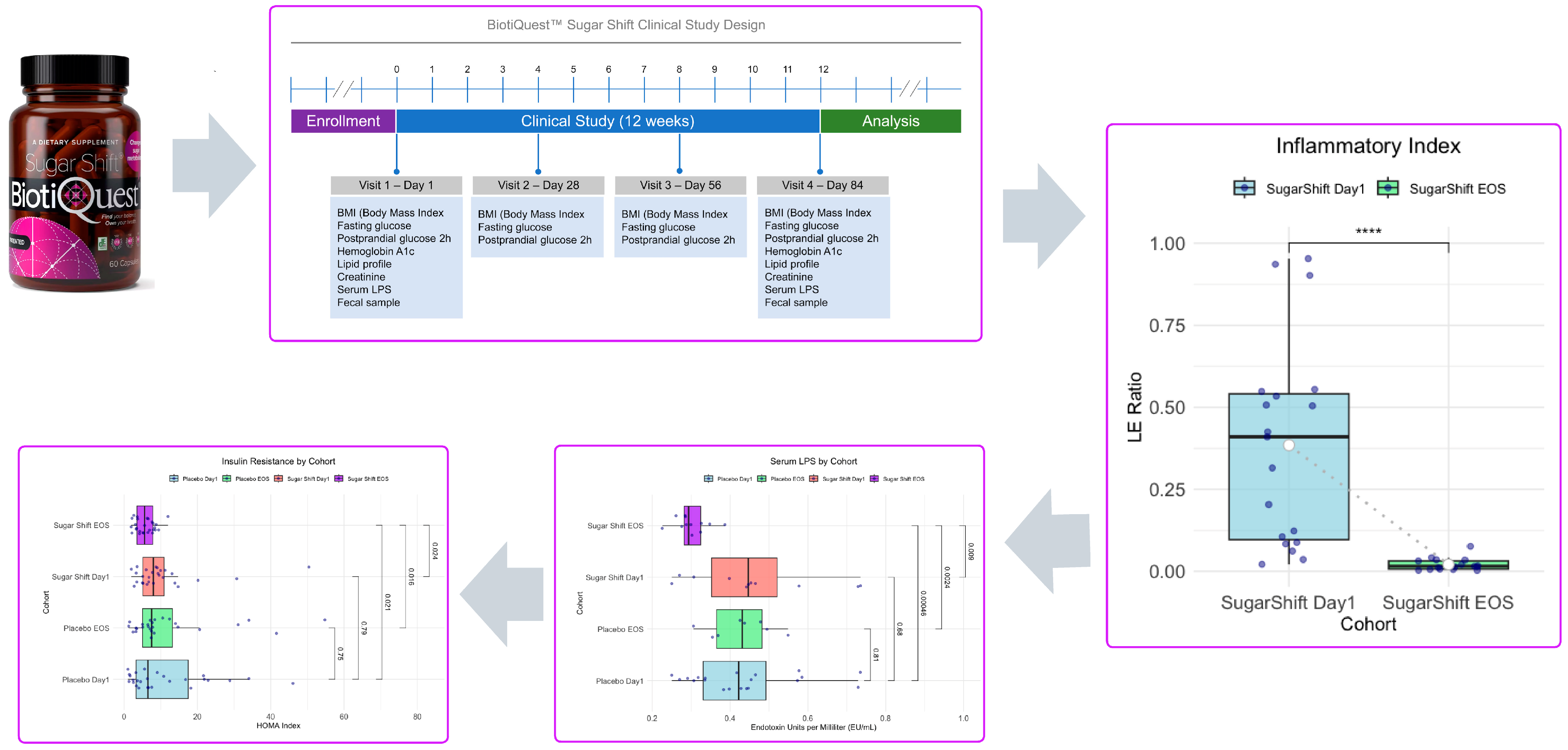 Microorganisms 13 00514 g006