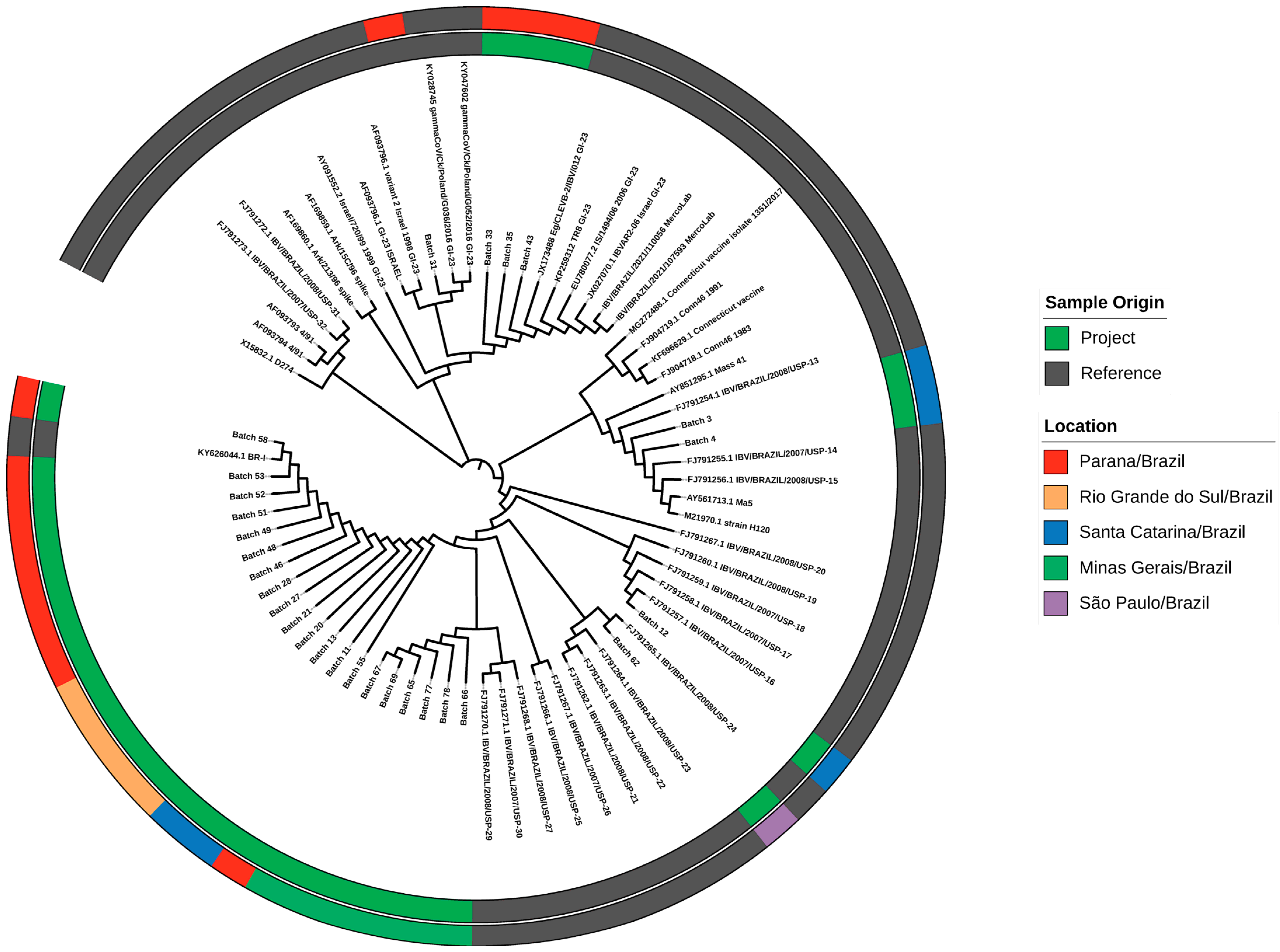 Microorganisms 13 00521 g002