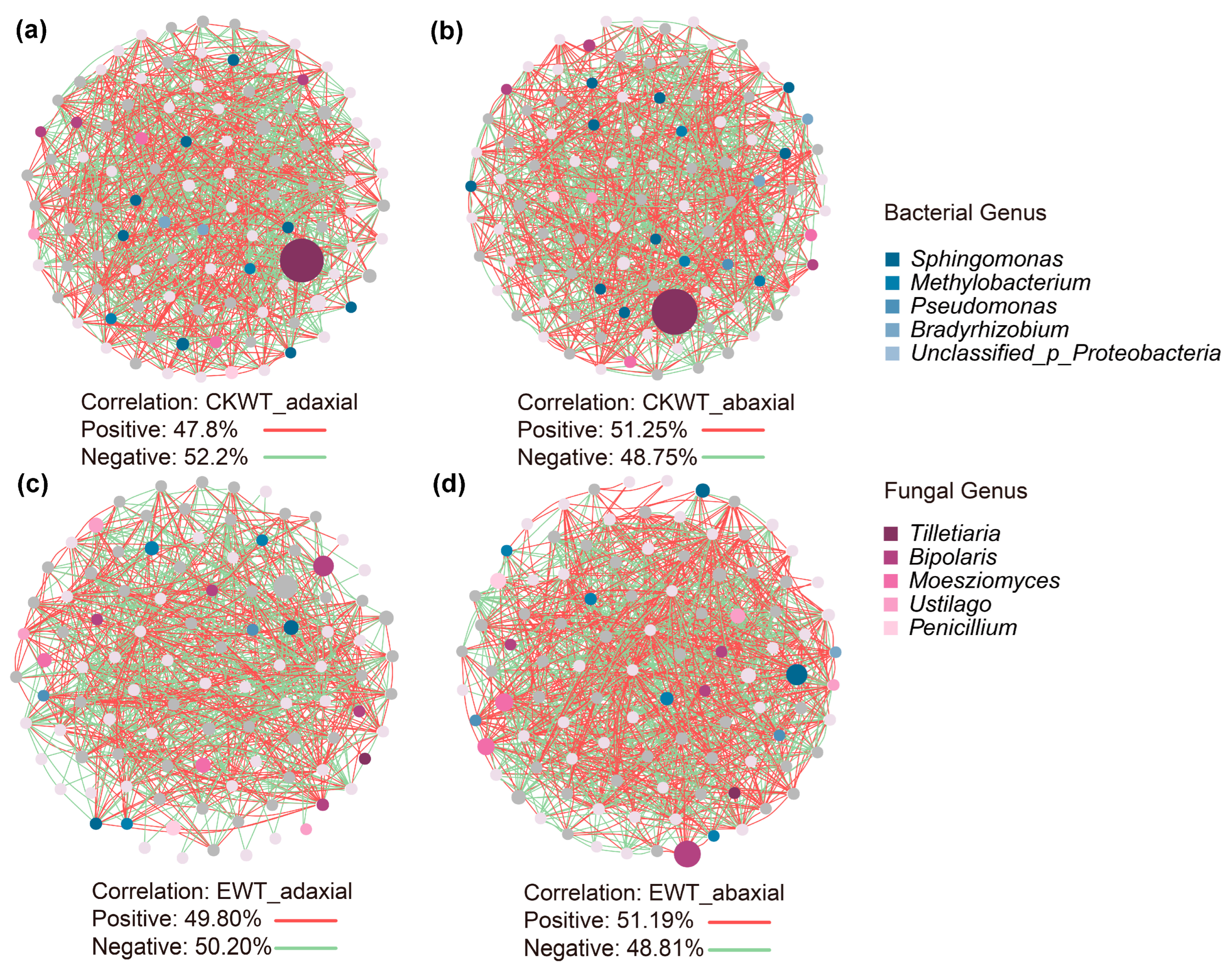 Microorganisms 13 00524 g002