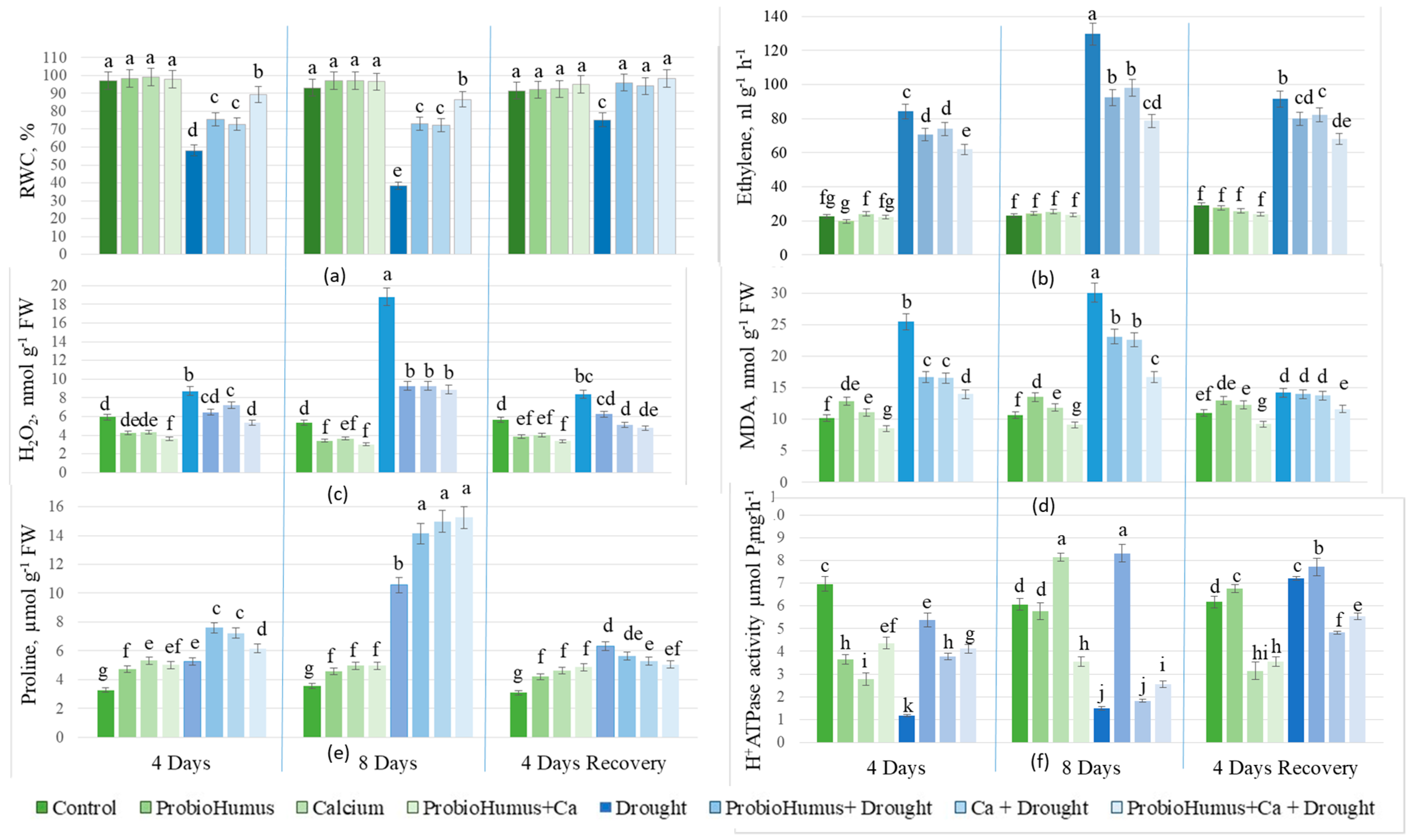 Microorganisms 13 00530 g002
