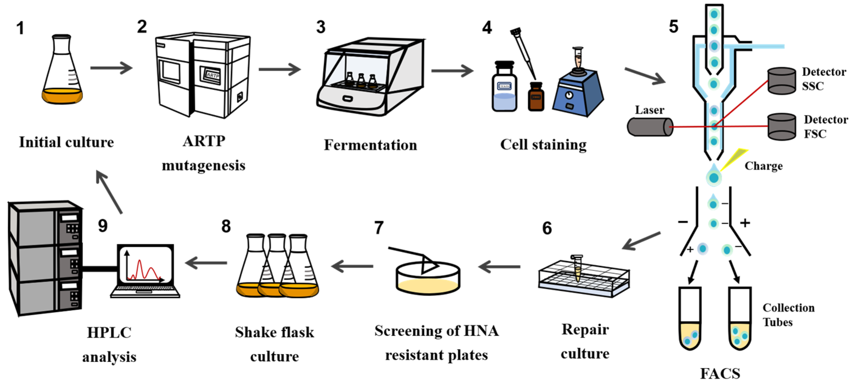 Microorganisms 13 00536 g001