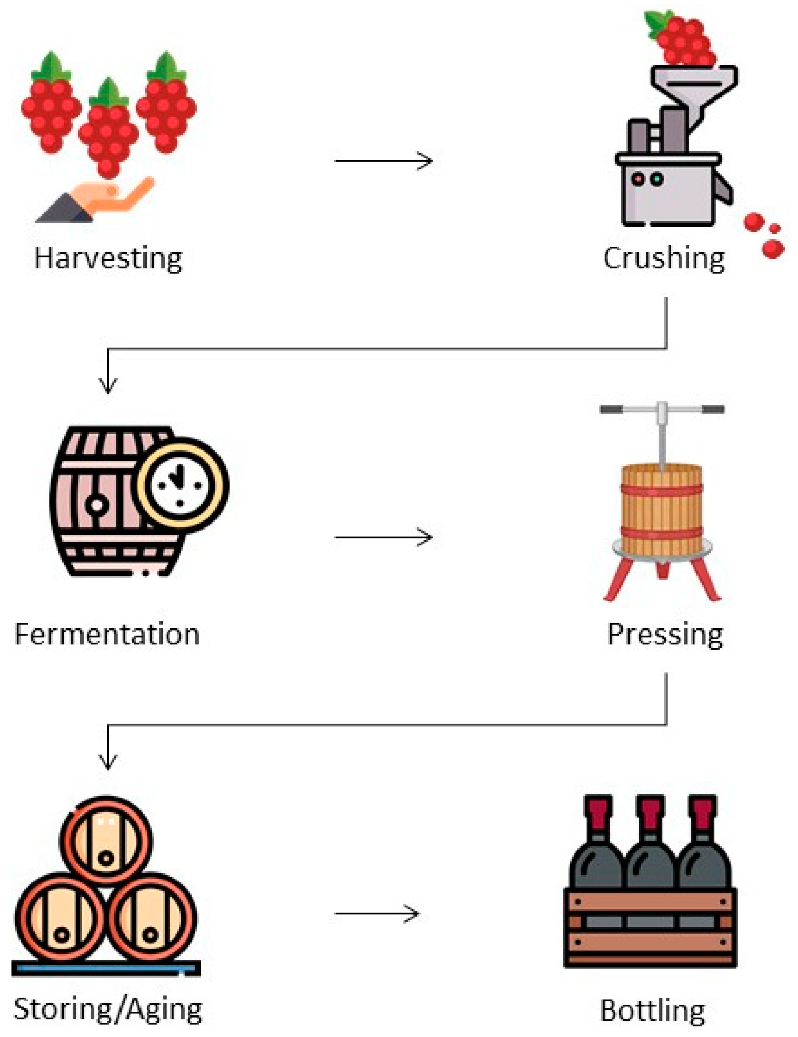 Microorganisms 13 00538 g001