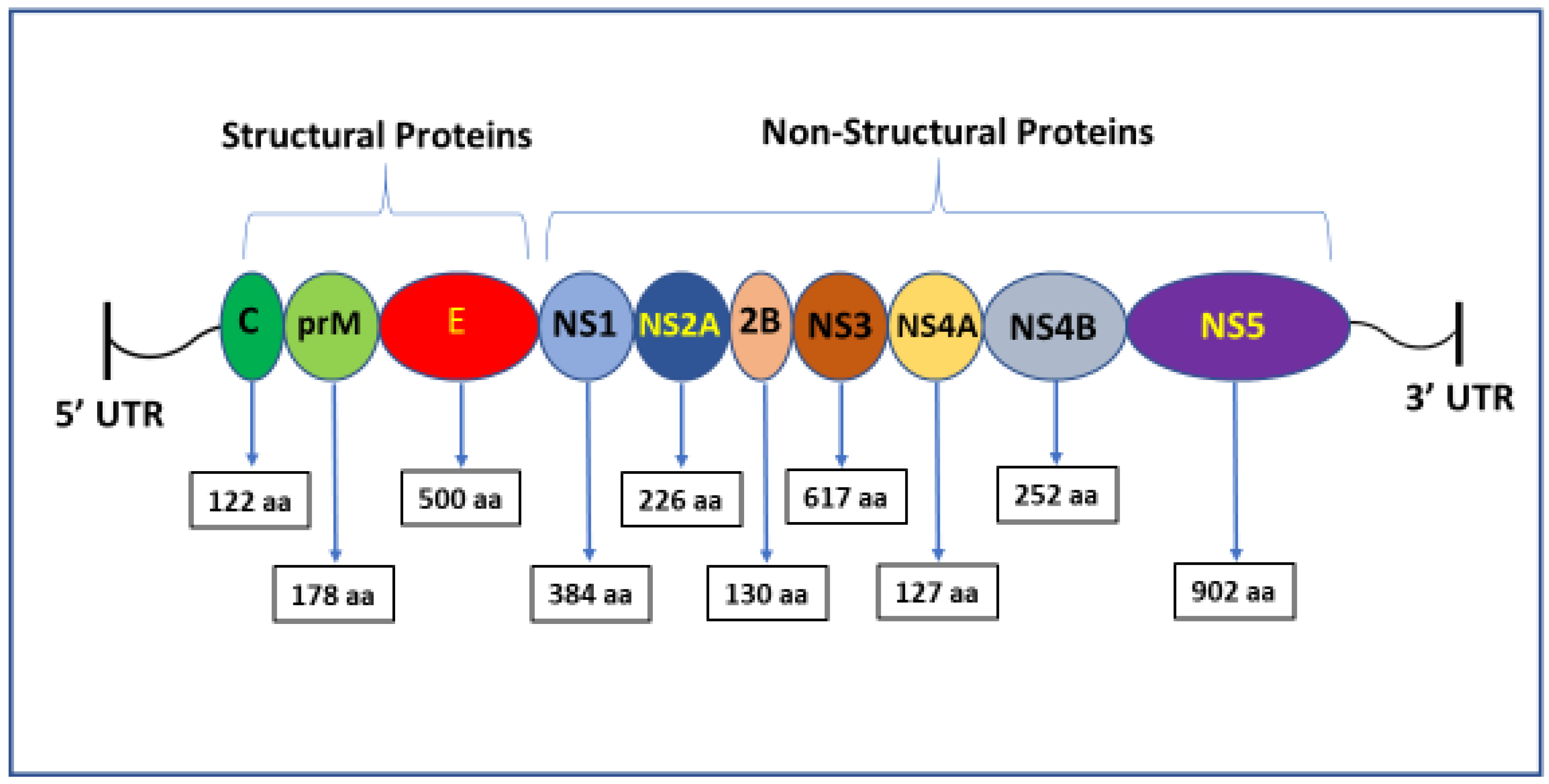 Microorganisms 13 00544 g002 Microorganisms 13 00544 g002