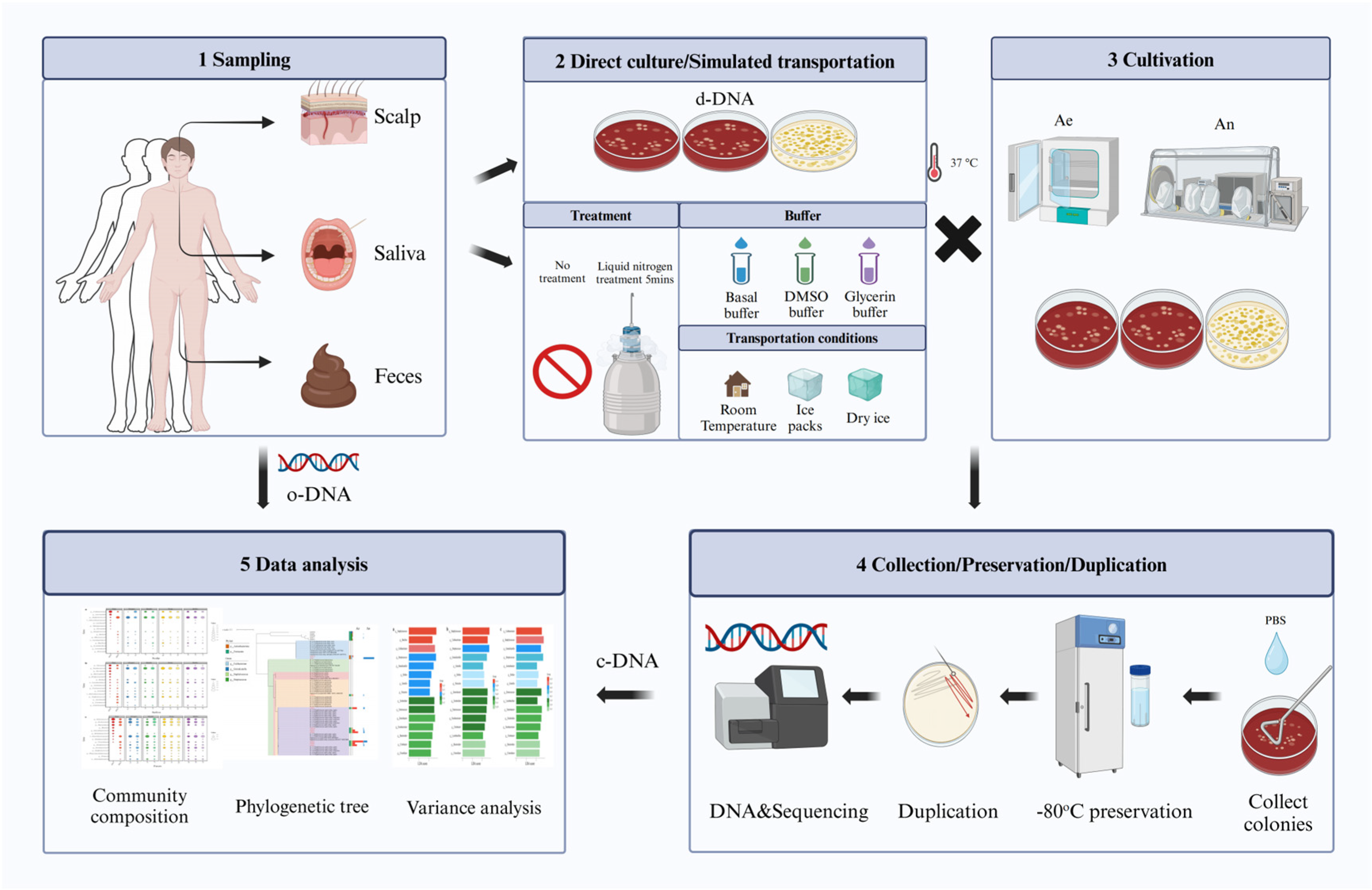 Microorganisms 13 00549 g001