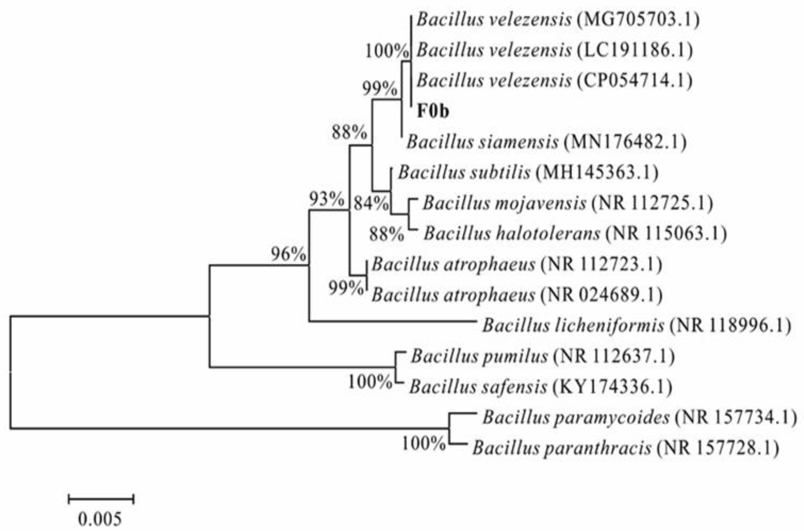 Microorganisms 13 00560 g002
