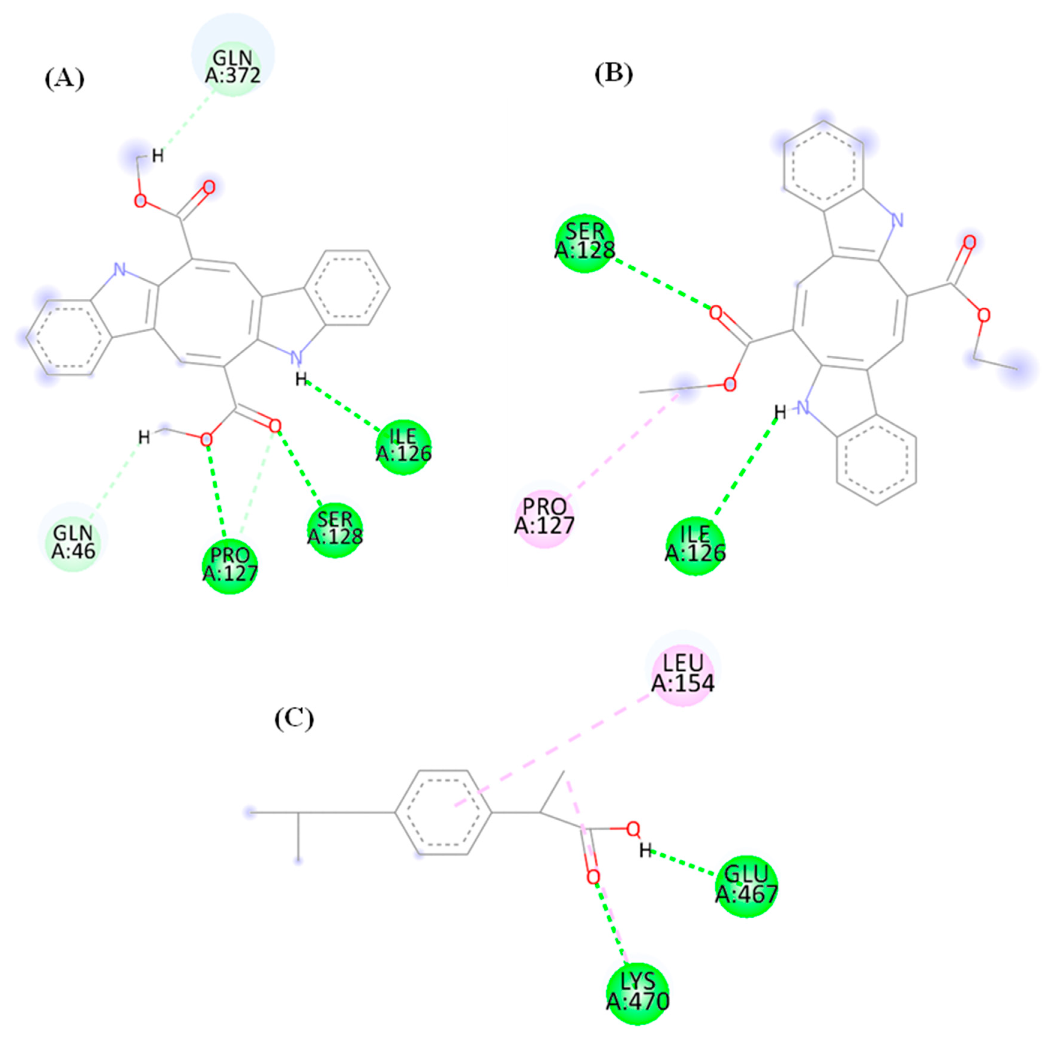 Microorganisms 13 00561 g013