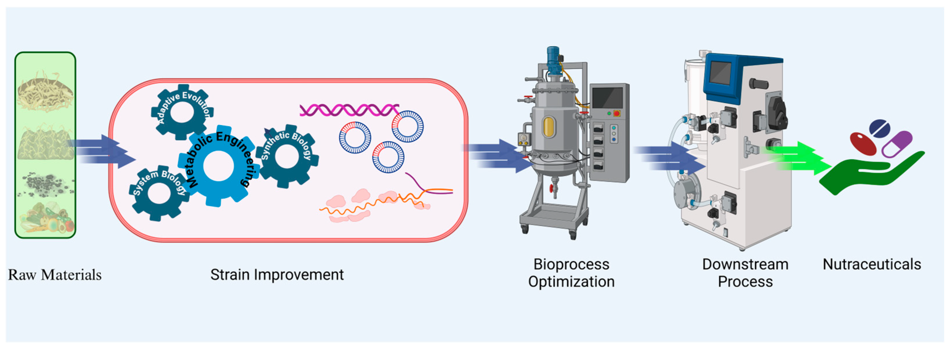 Microorganisms 13 00566 g001