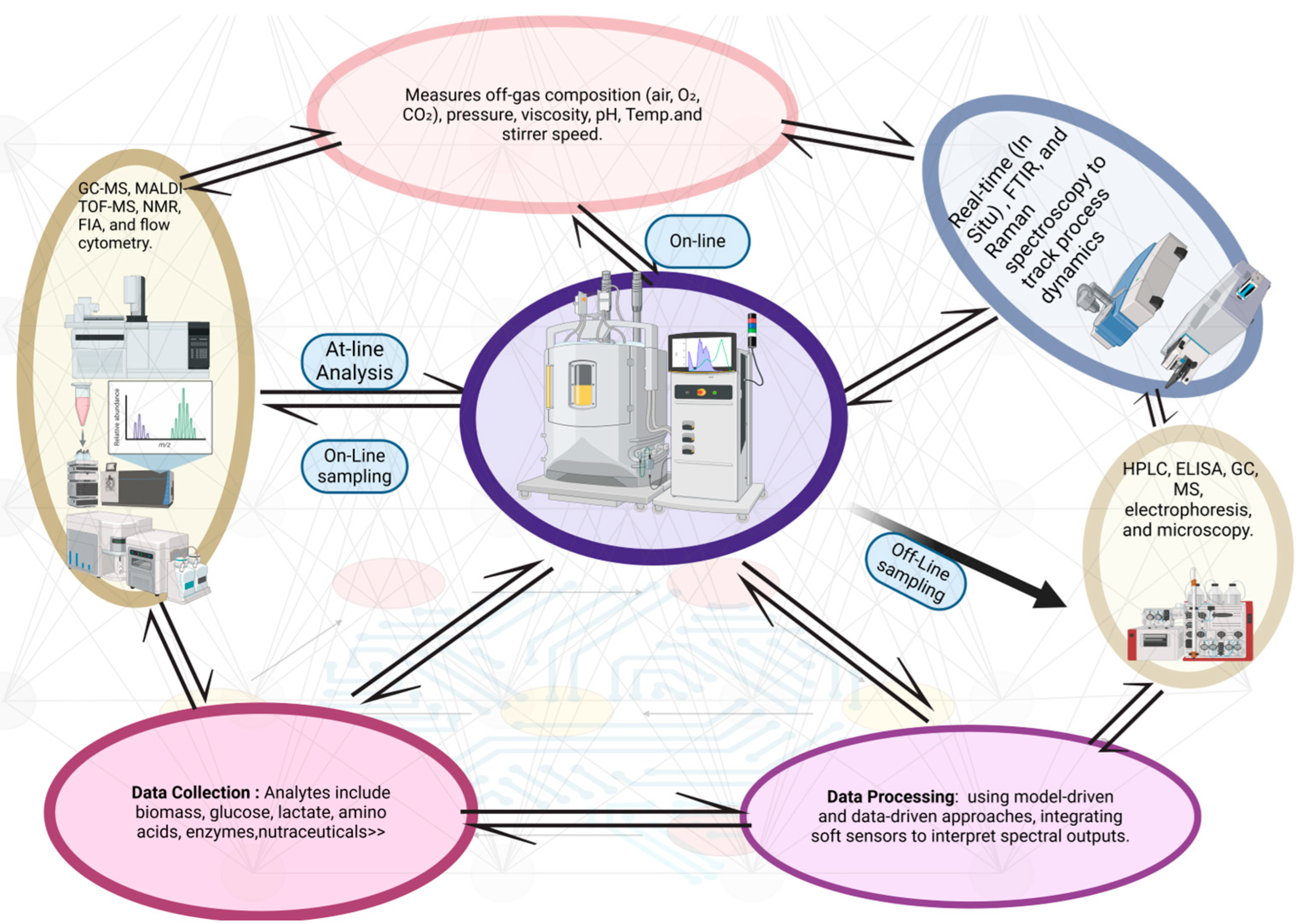 Microorganisms 13 00566 g006