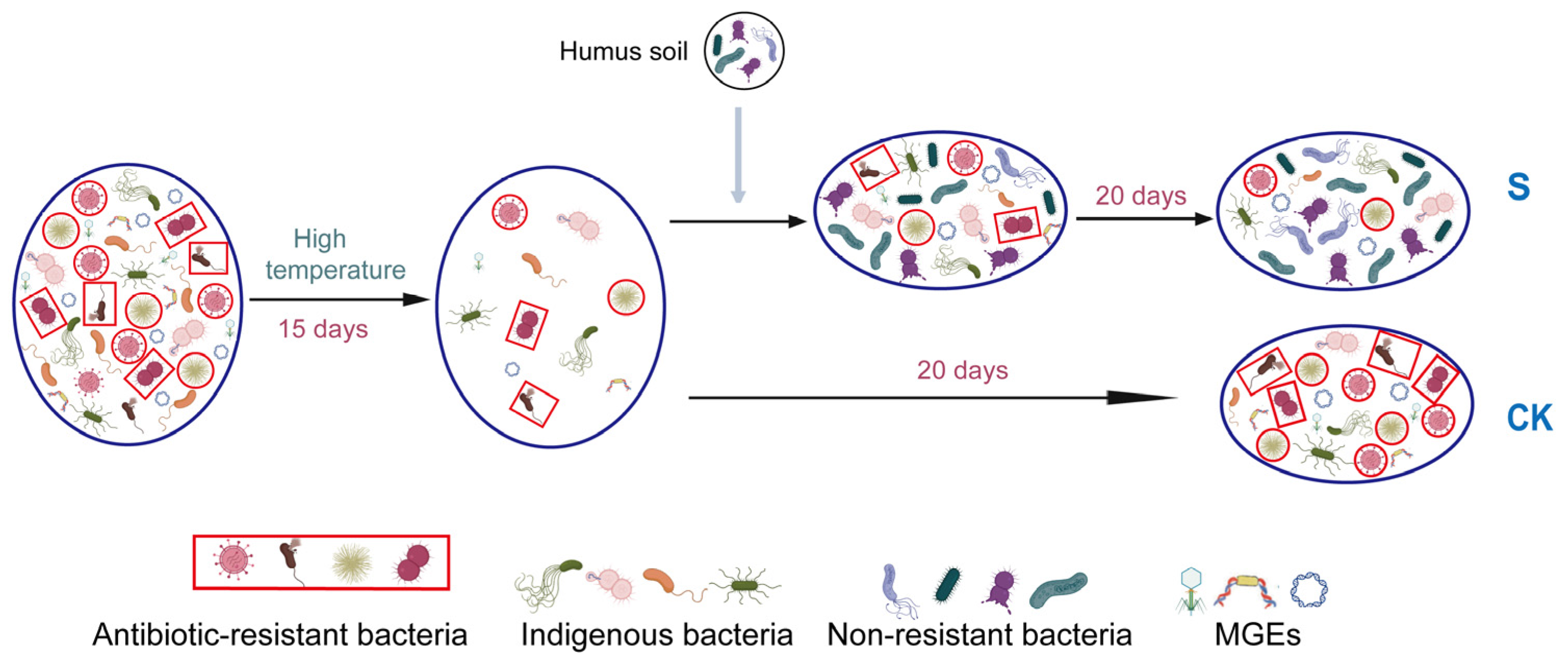 Microorganisms 13 00571 g007