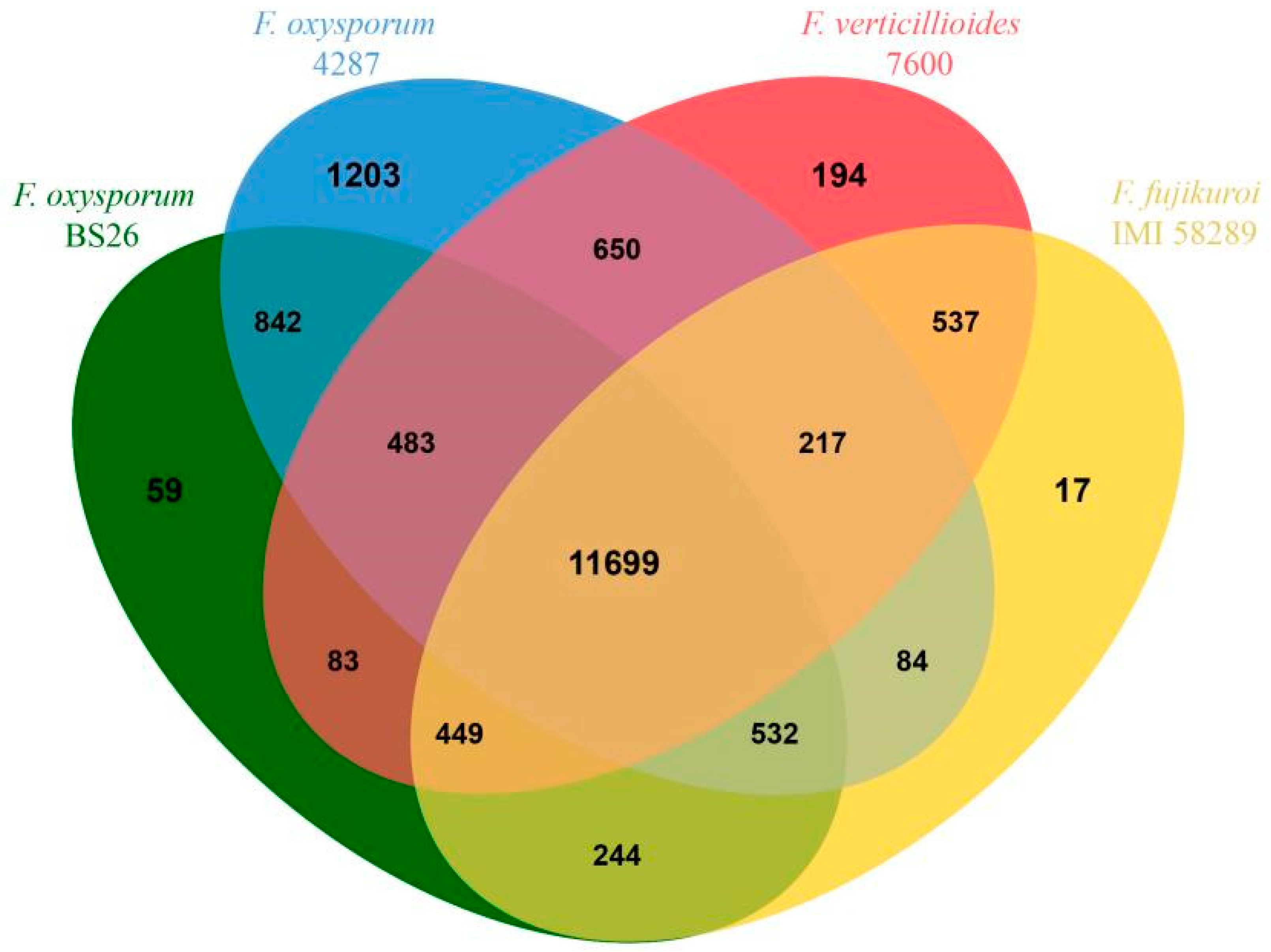 Microorganisms 13 00573 g005