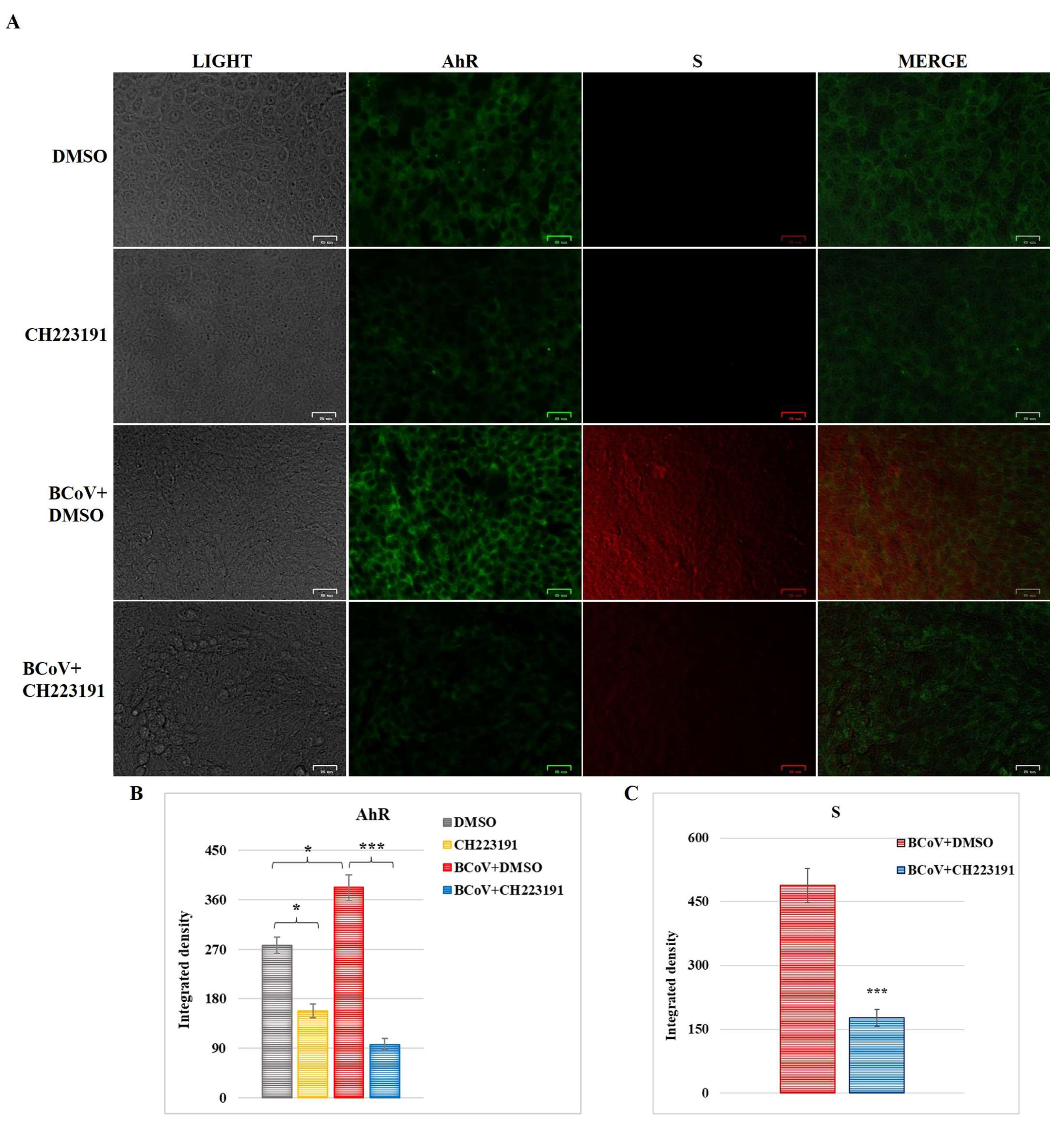 Microorganisms 13 00579 g006