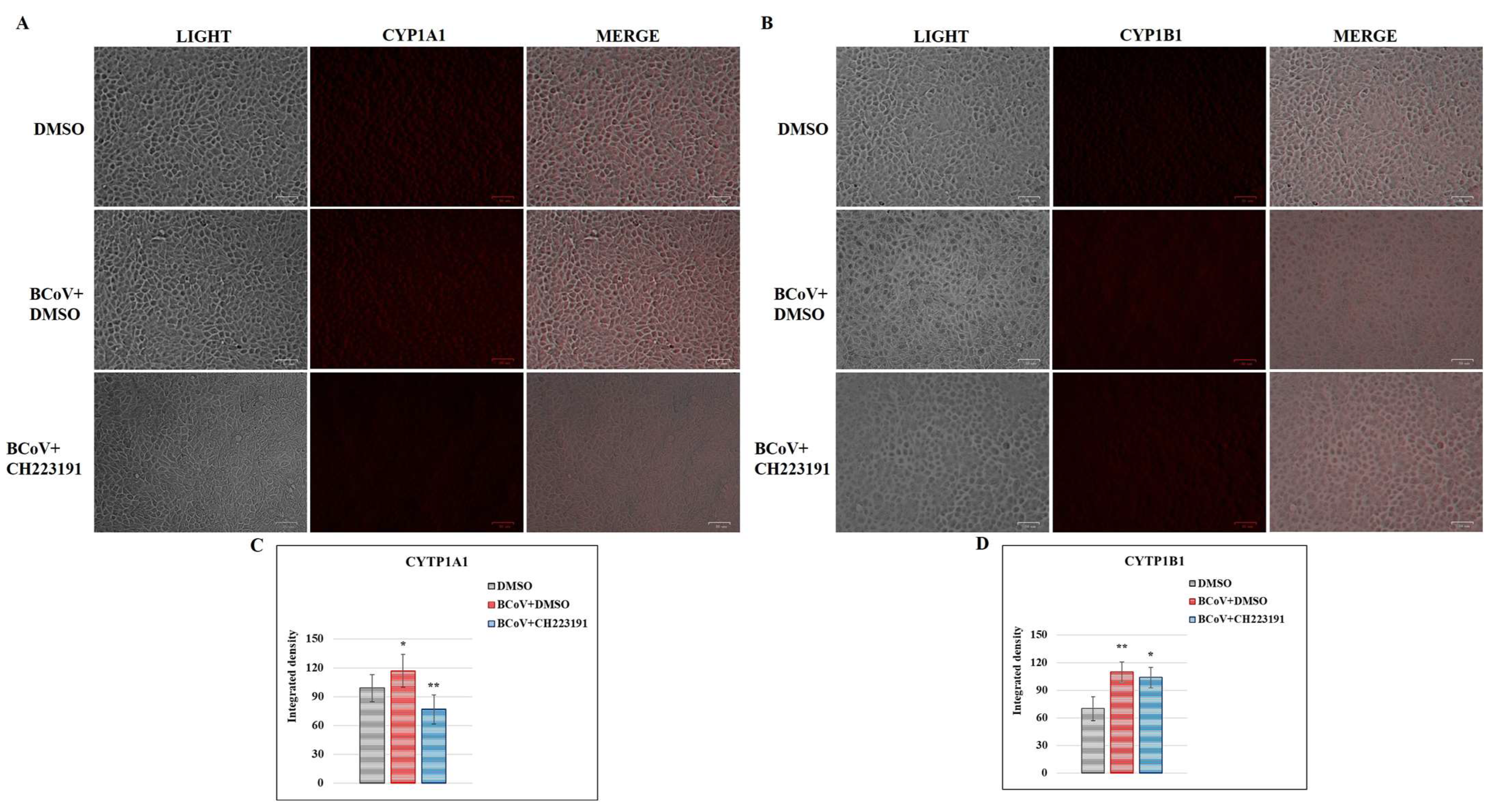 Microorganisms 13 00579 g007