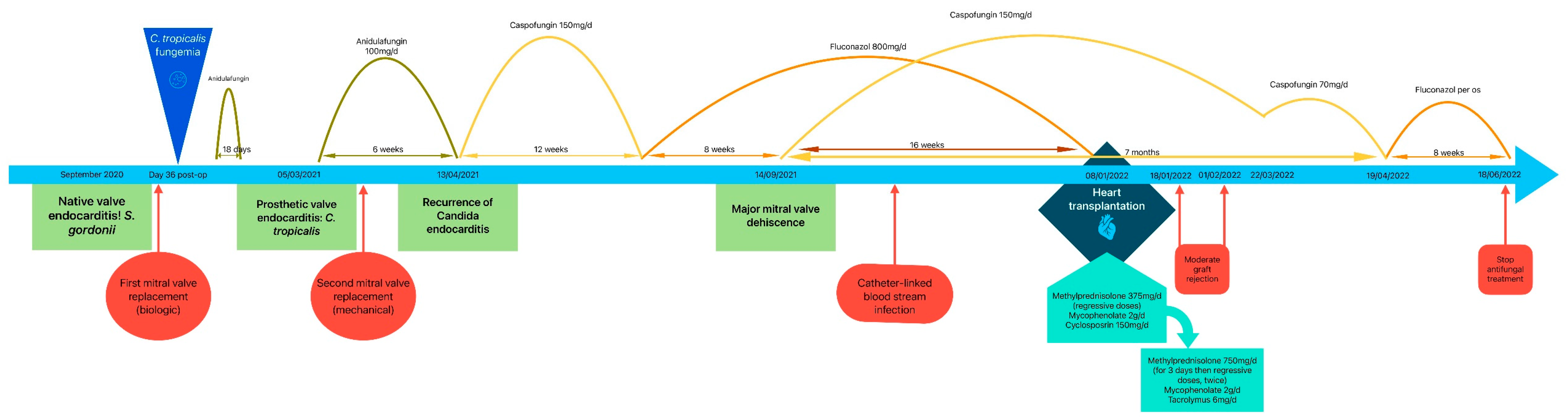 Microorganisms 13 00580 g003