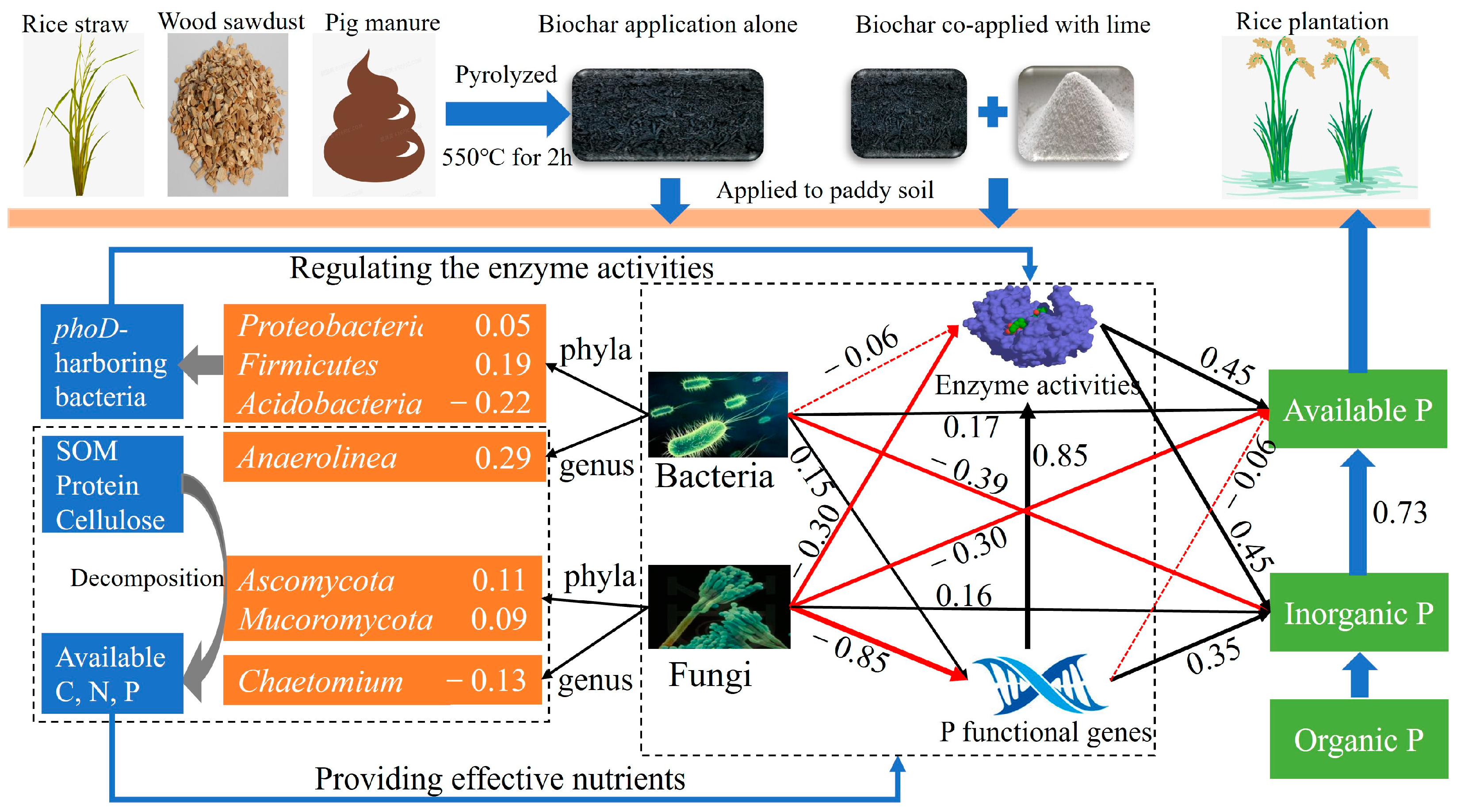 Microorganisms 13 00582 g007