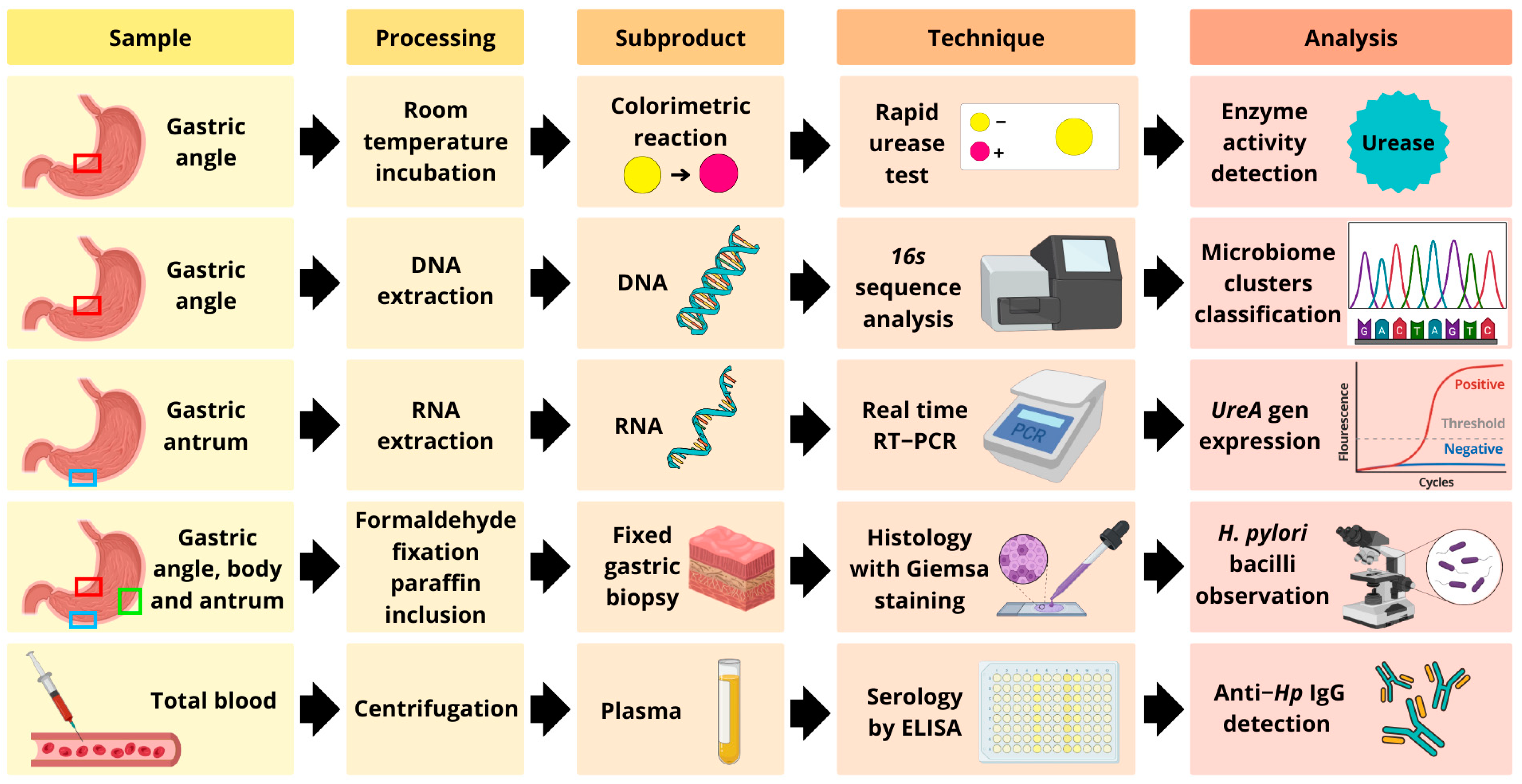 Microorganisms 13 00583 g001