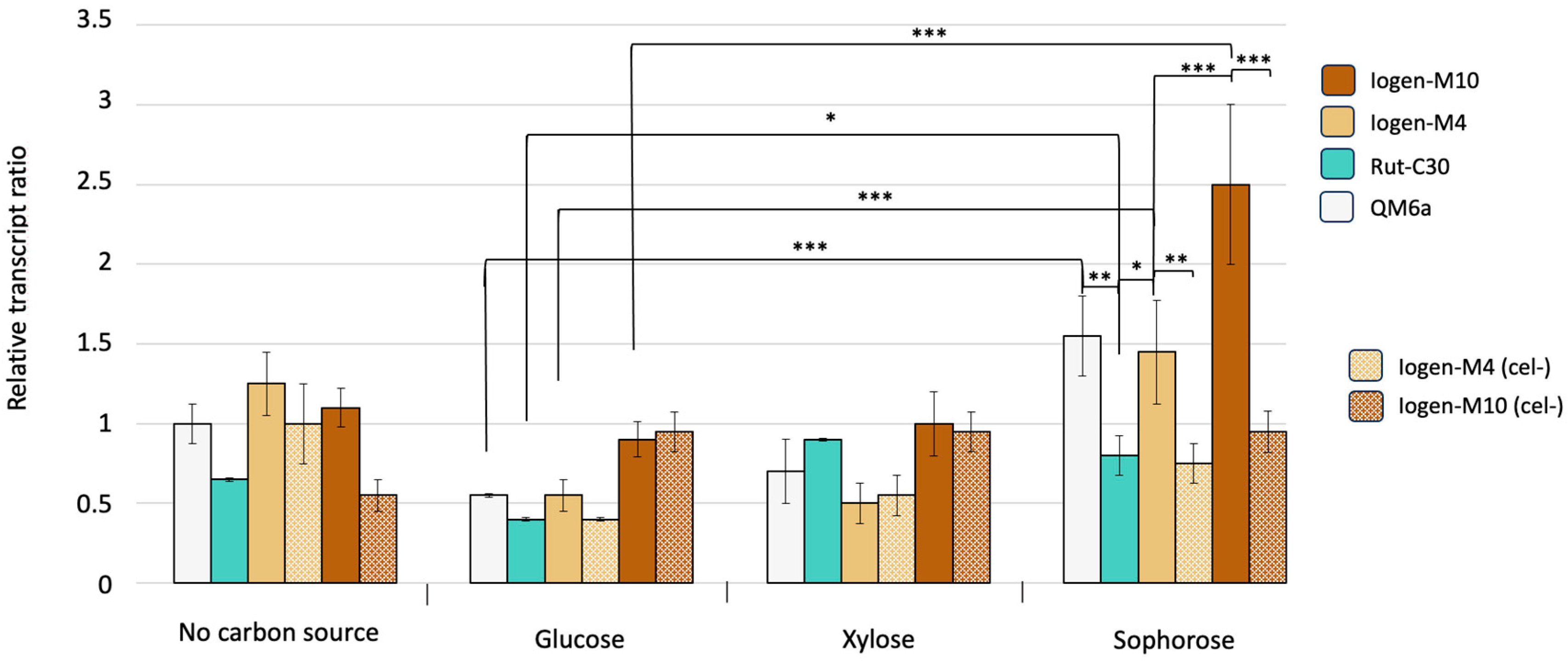Microorganisms 13 00584 g005