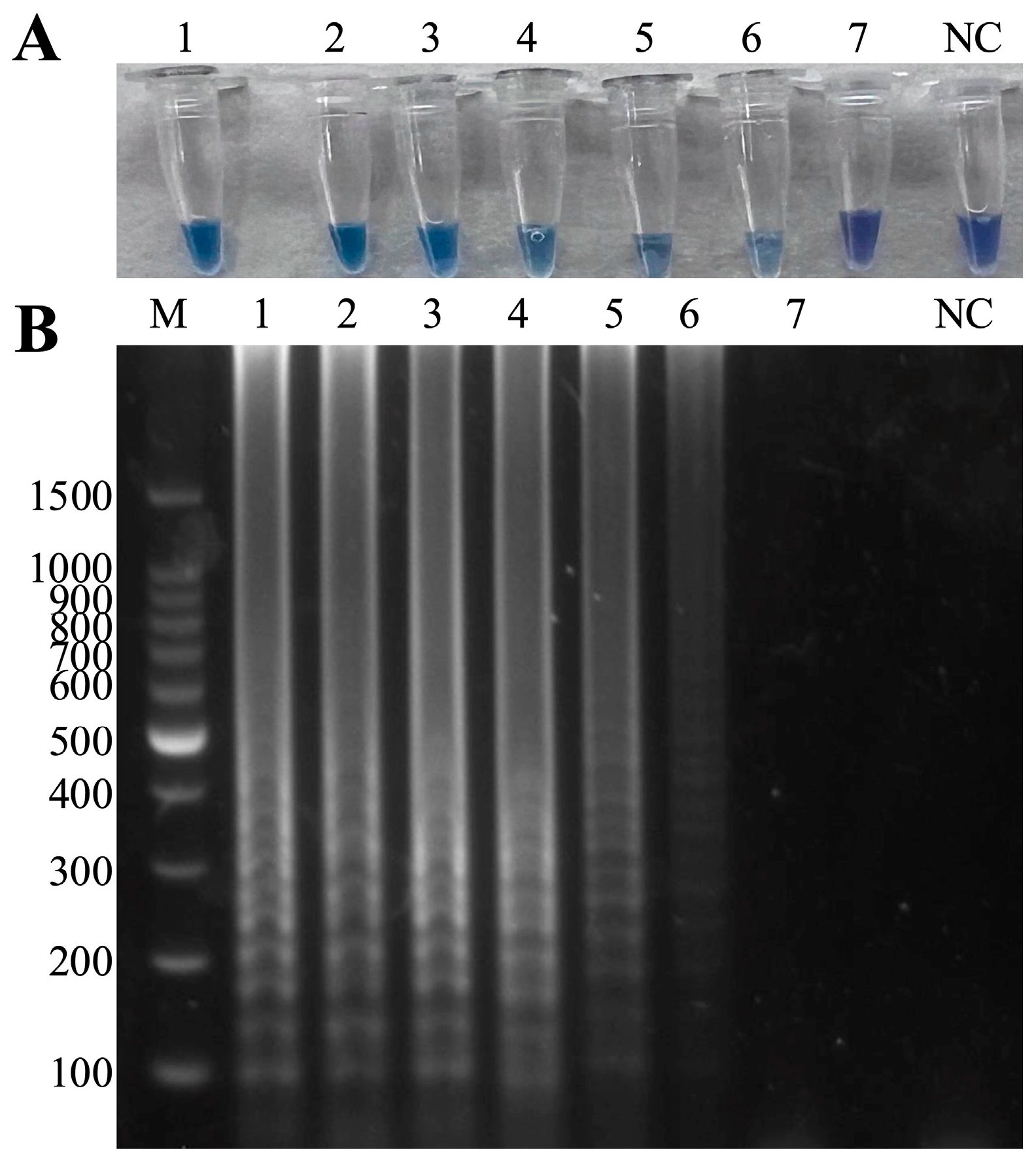 Microorganisms 13 00586 g005 Microorganisms 13 00586 g005