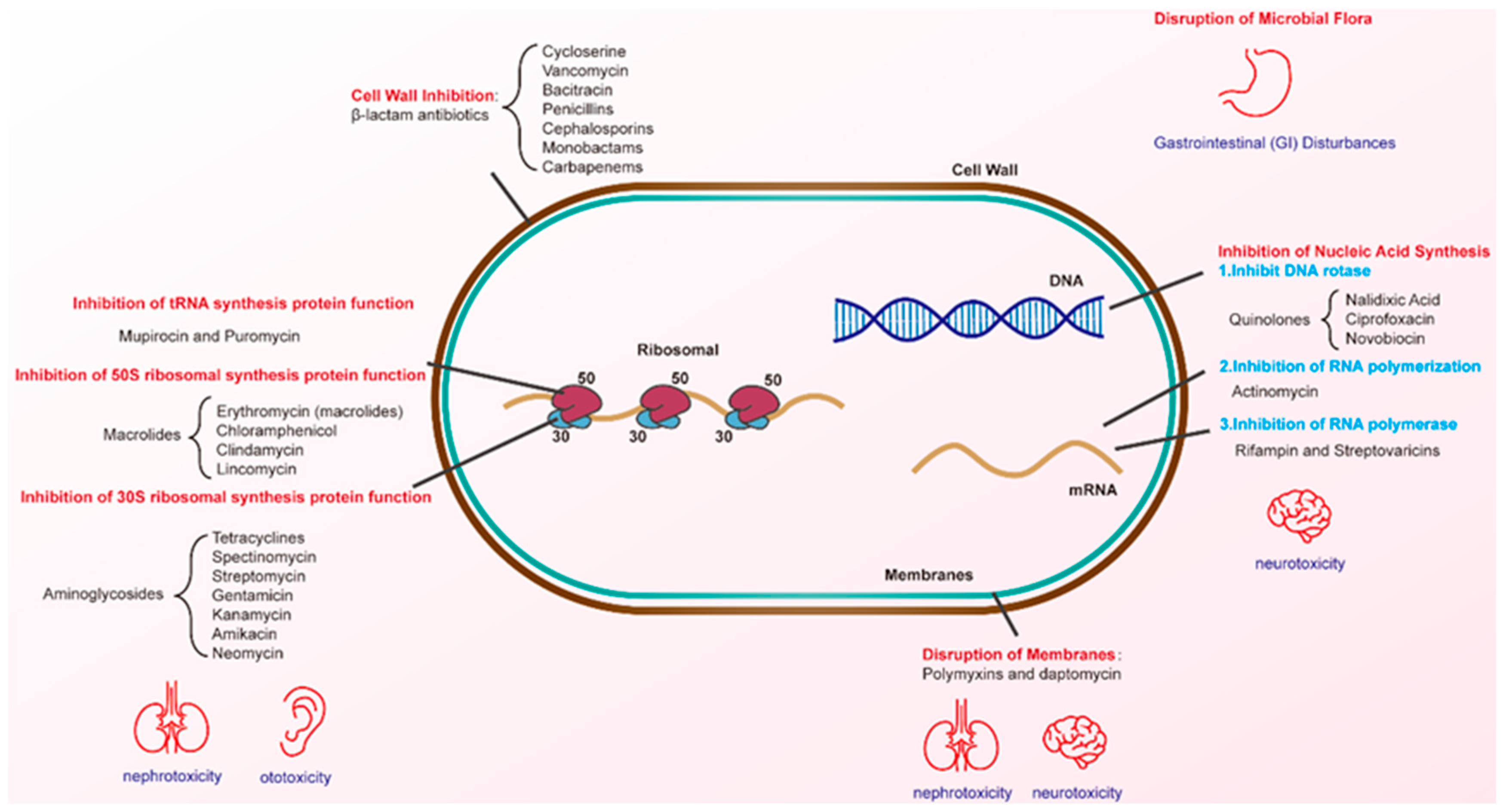 Microorganisms 13 00602 g002