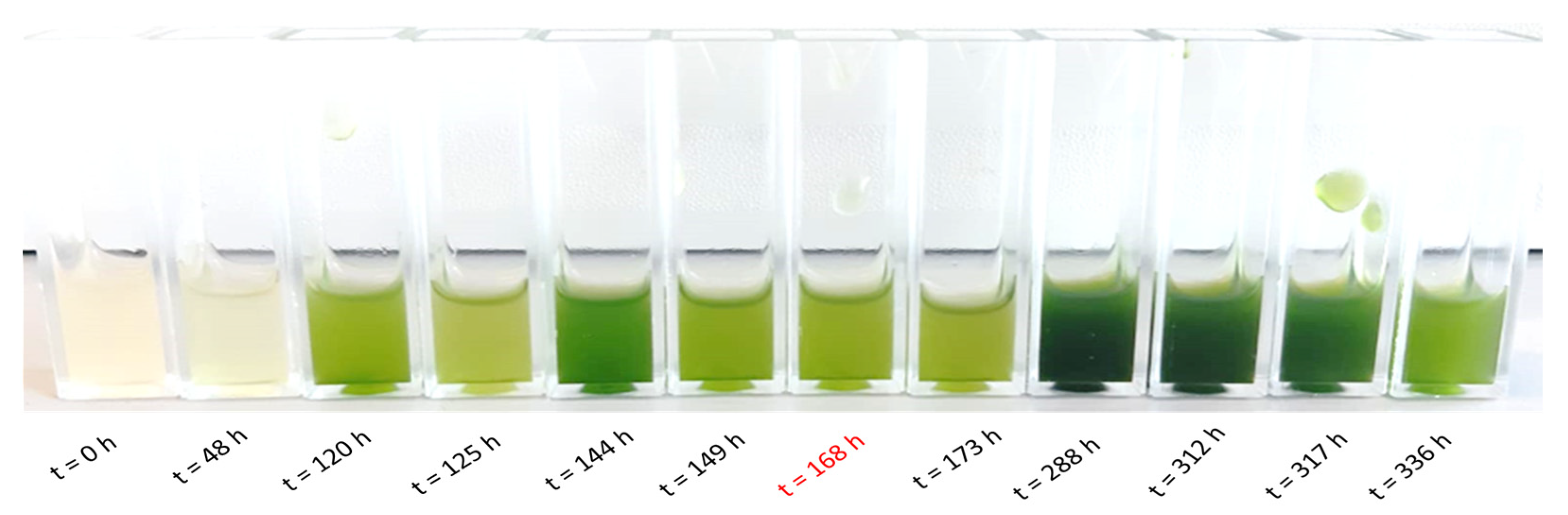 Microorganisms 13 00606 g005 Microorganisms 13 00606 g005