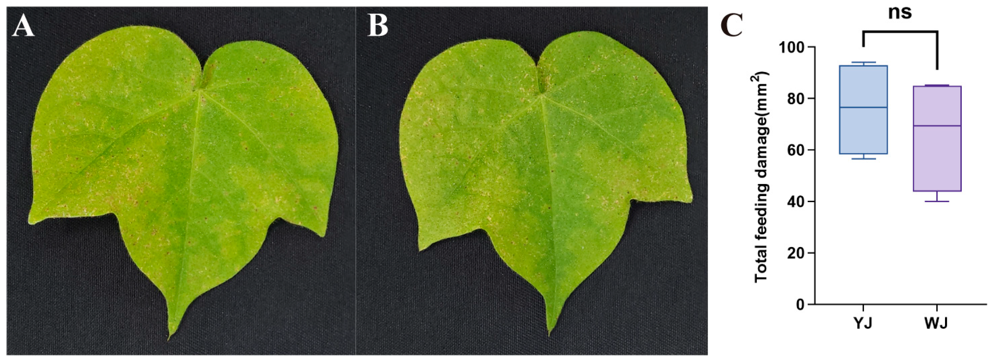 Microorganisms 13 00608 g001