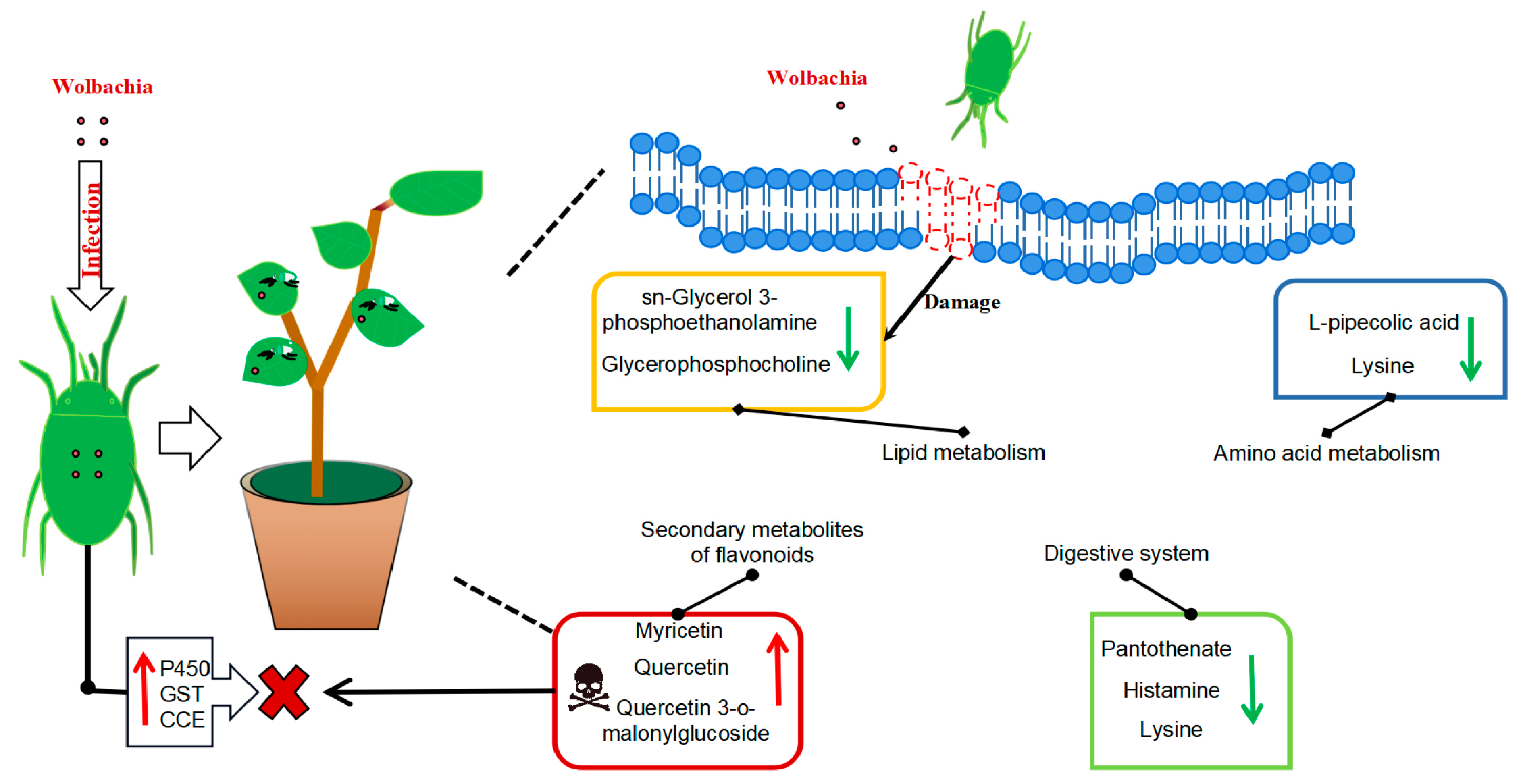 Microorganisms 13 00608 g008