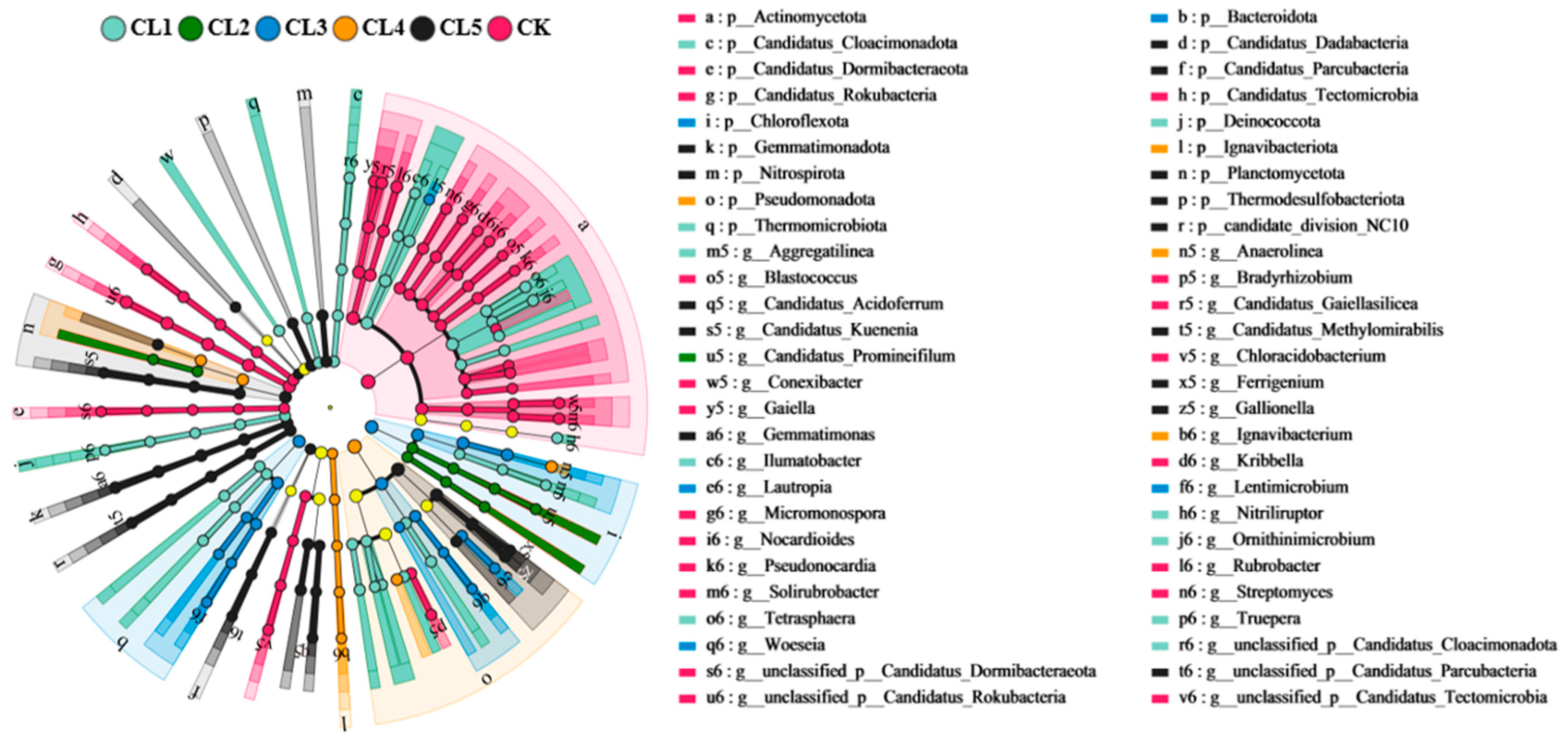 Microorganisms 13 00610 g003