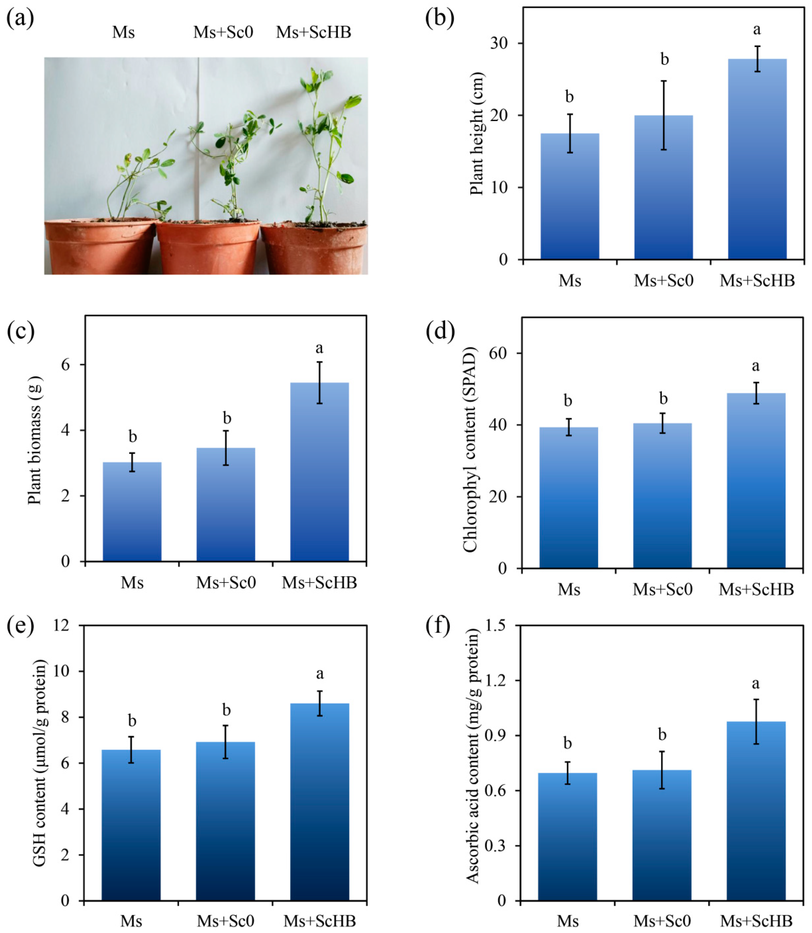 Microorganisms 13 00612 g004