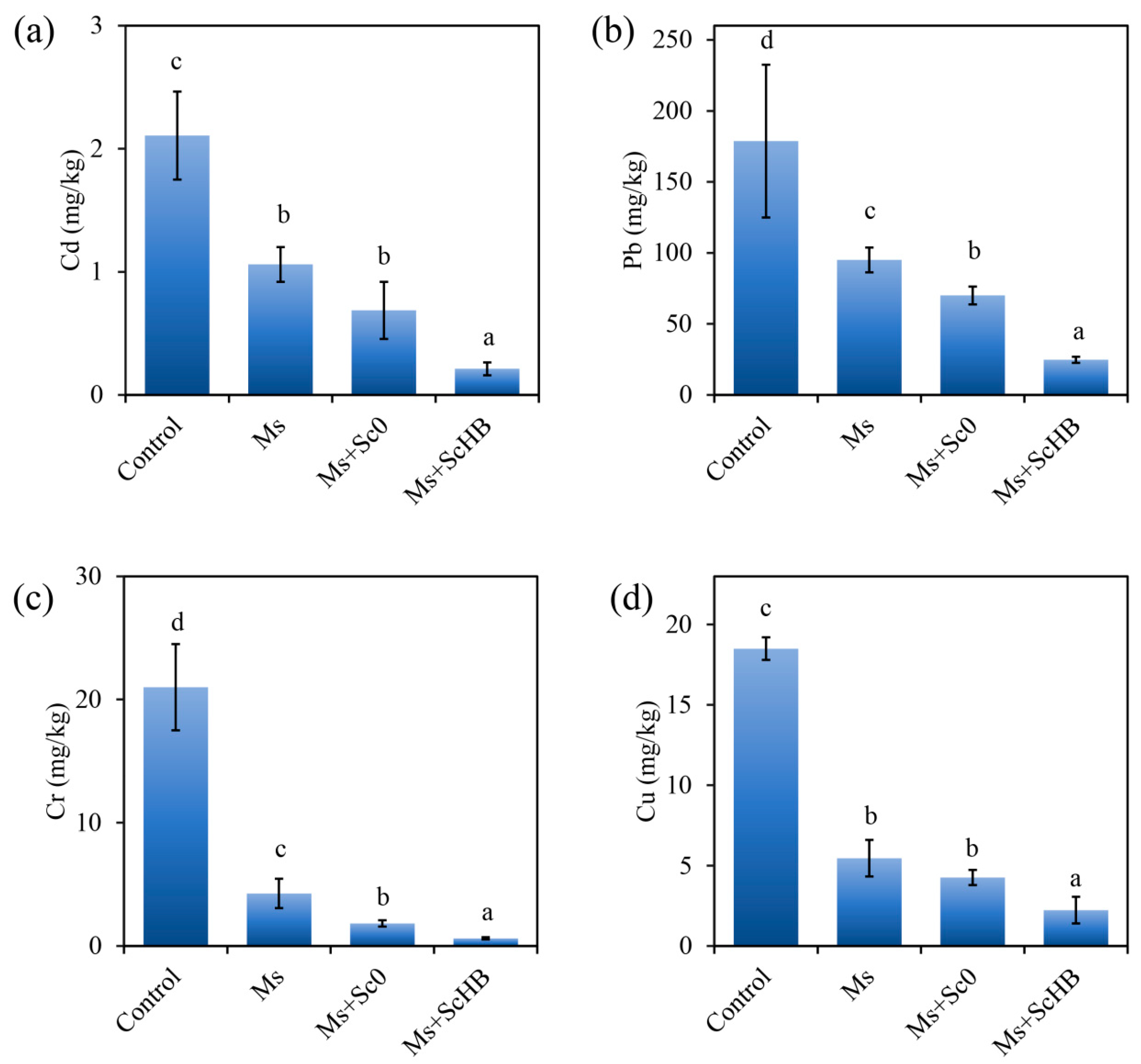 Microorganisms 13 00612 g007