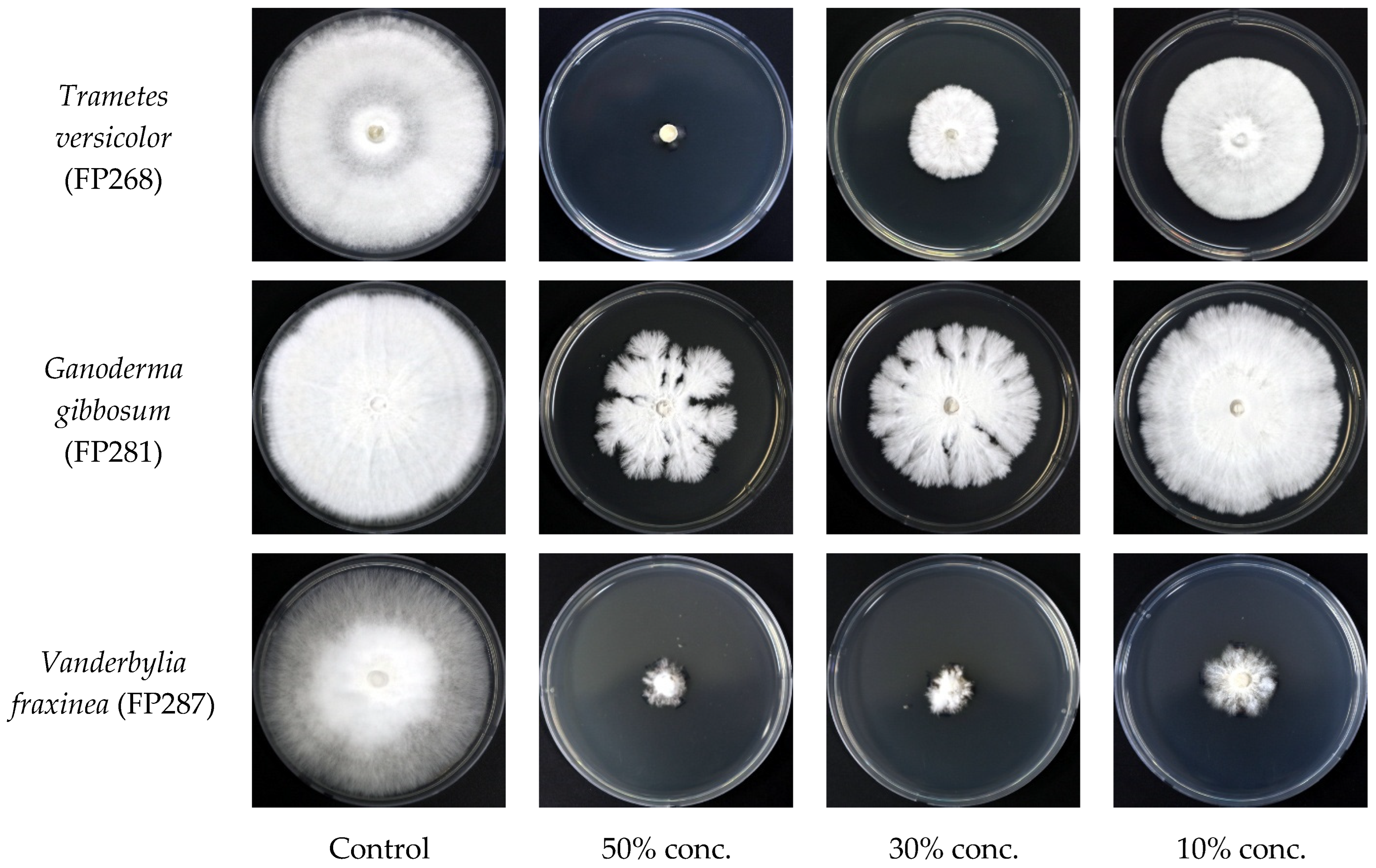 Microorganisms 13 00617 g007