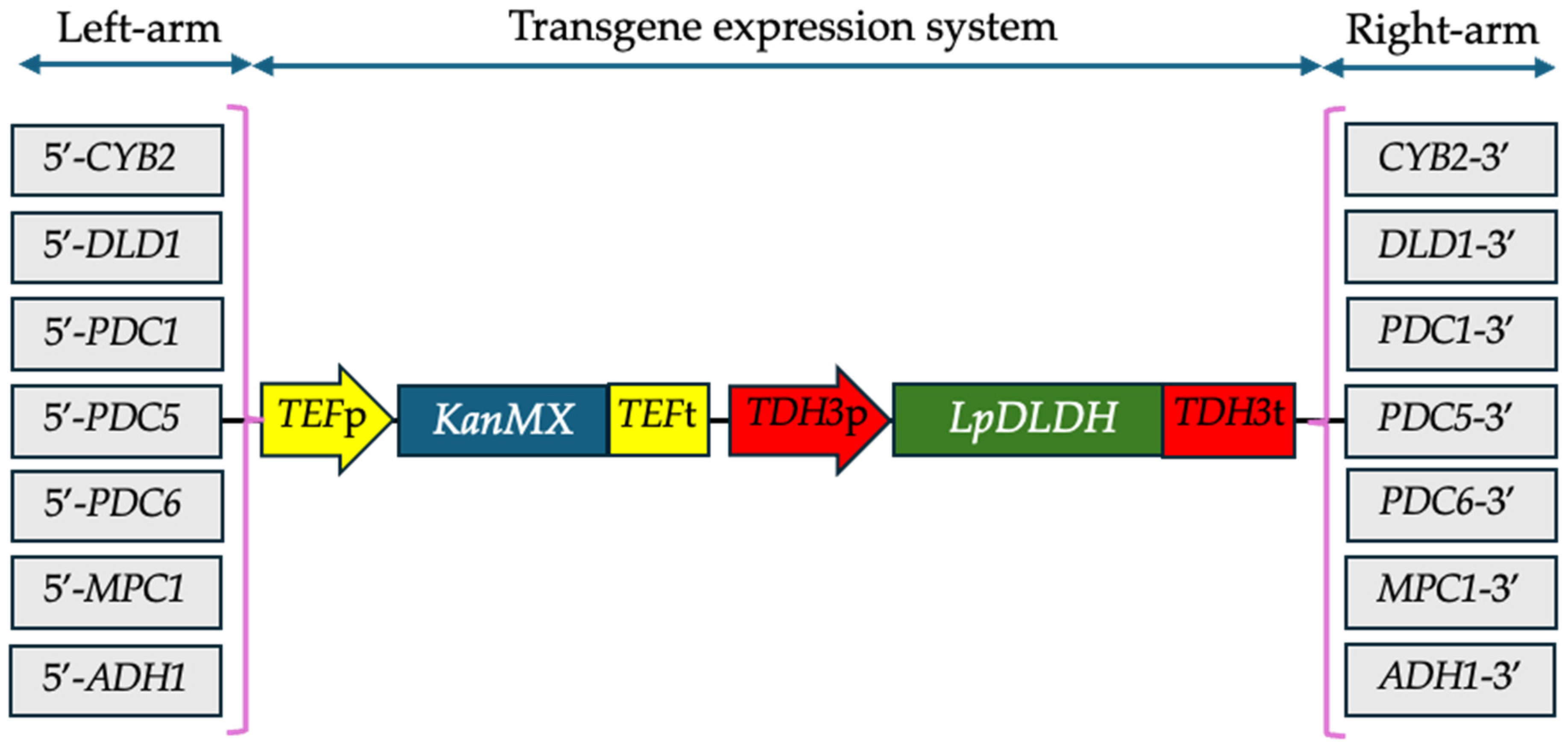 Microorganisms 13 00618 g001